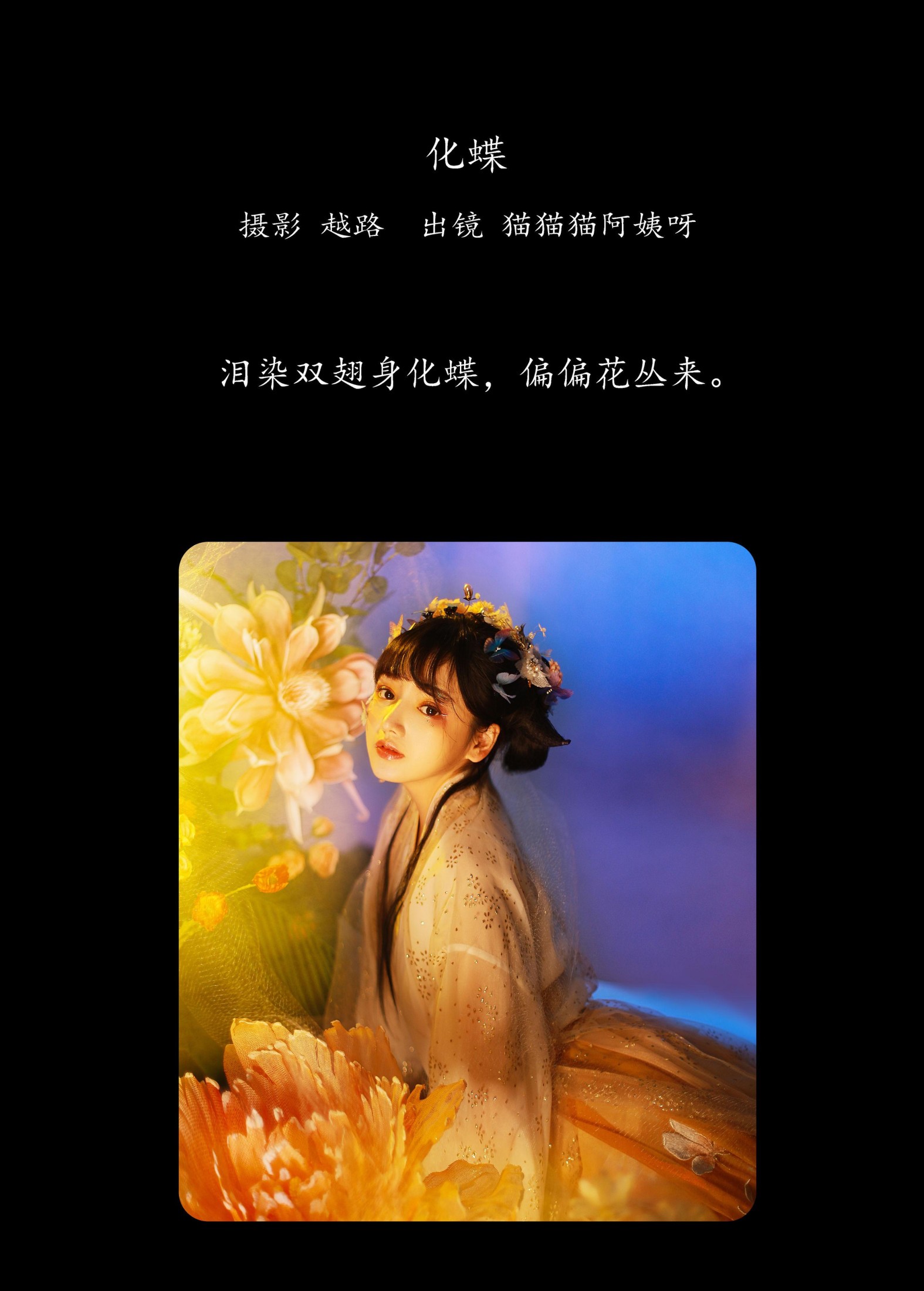 猫猫猫阿姨呀 – 《化蝶》[24P]