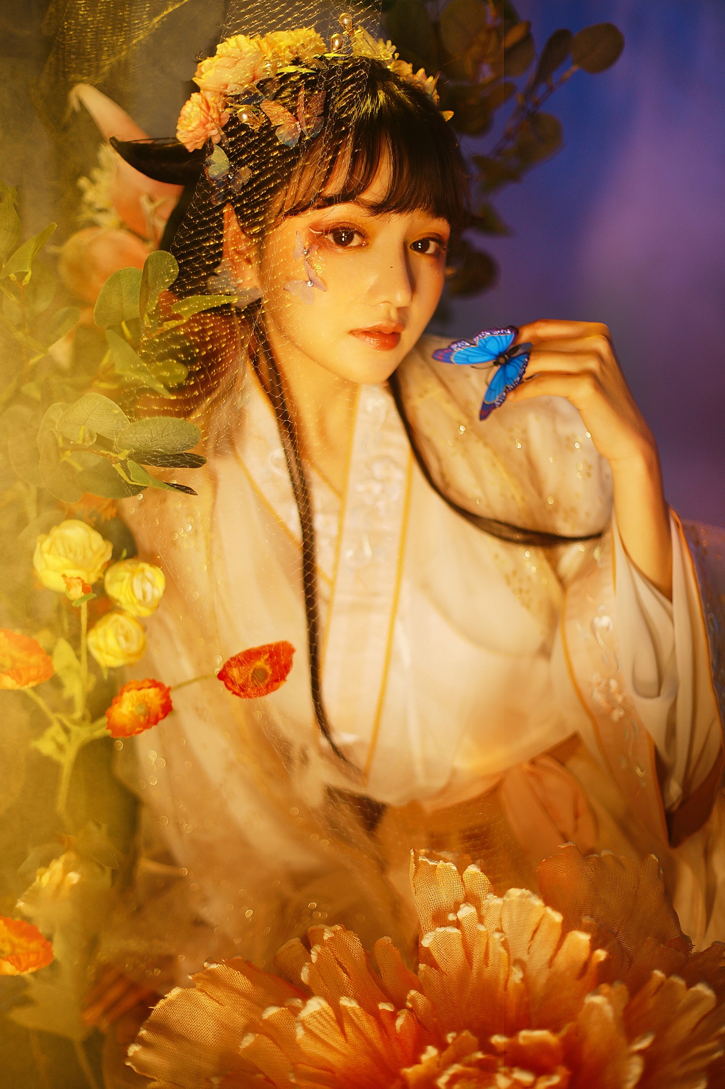 猫猫猫阿姨呀 – 《化蝶》[24P]