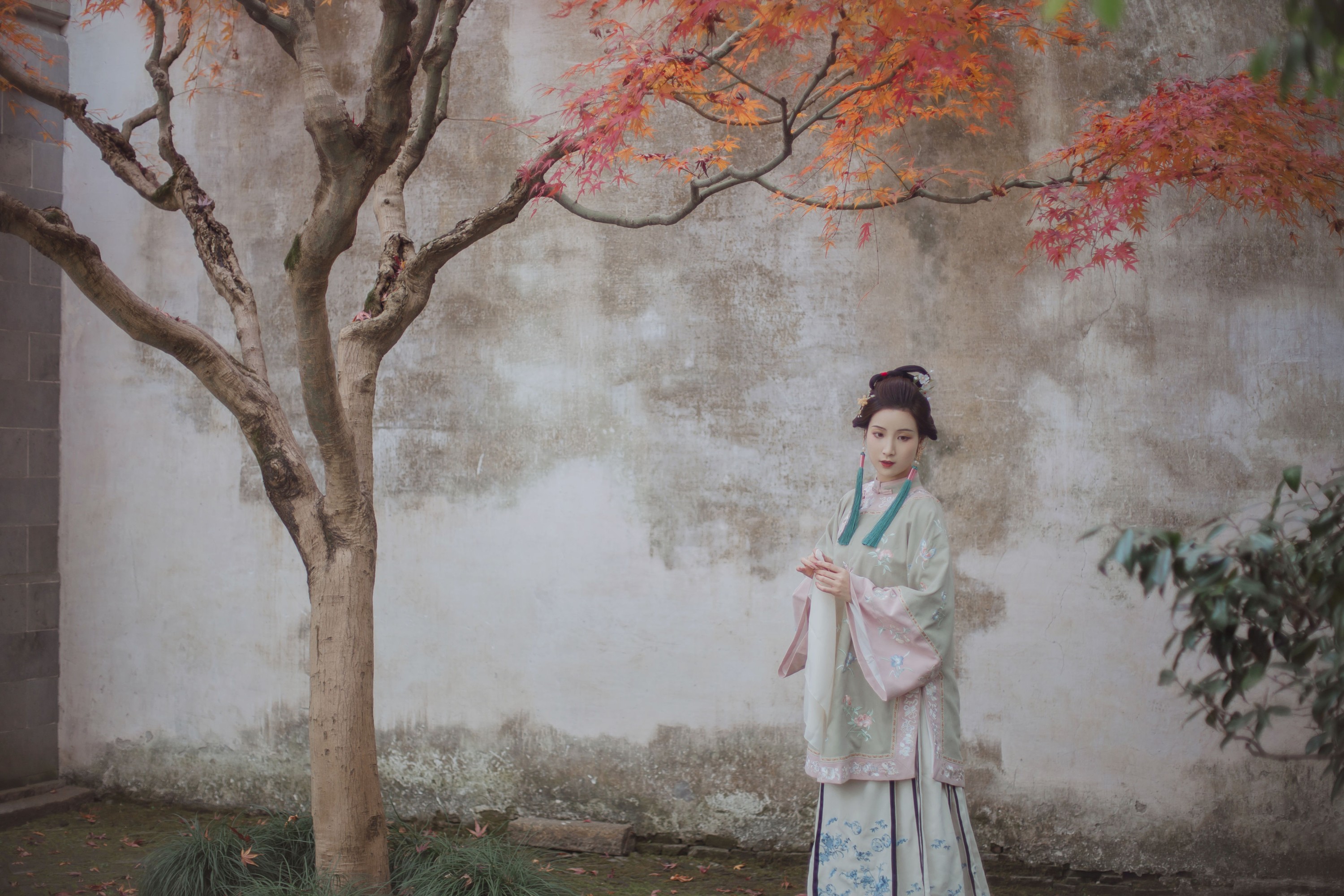 我是金儿呀 – 《我于窗中窥伤鹤》[26P]