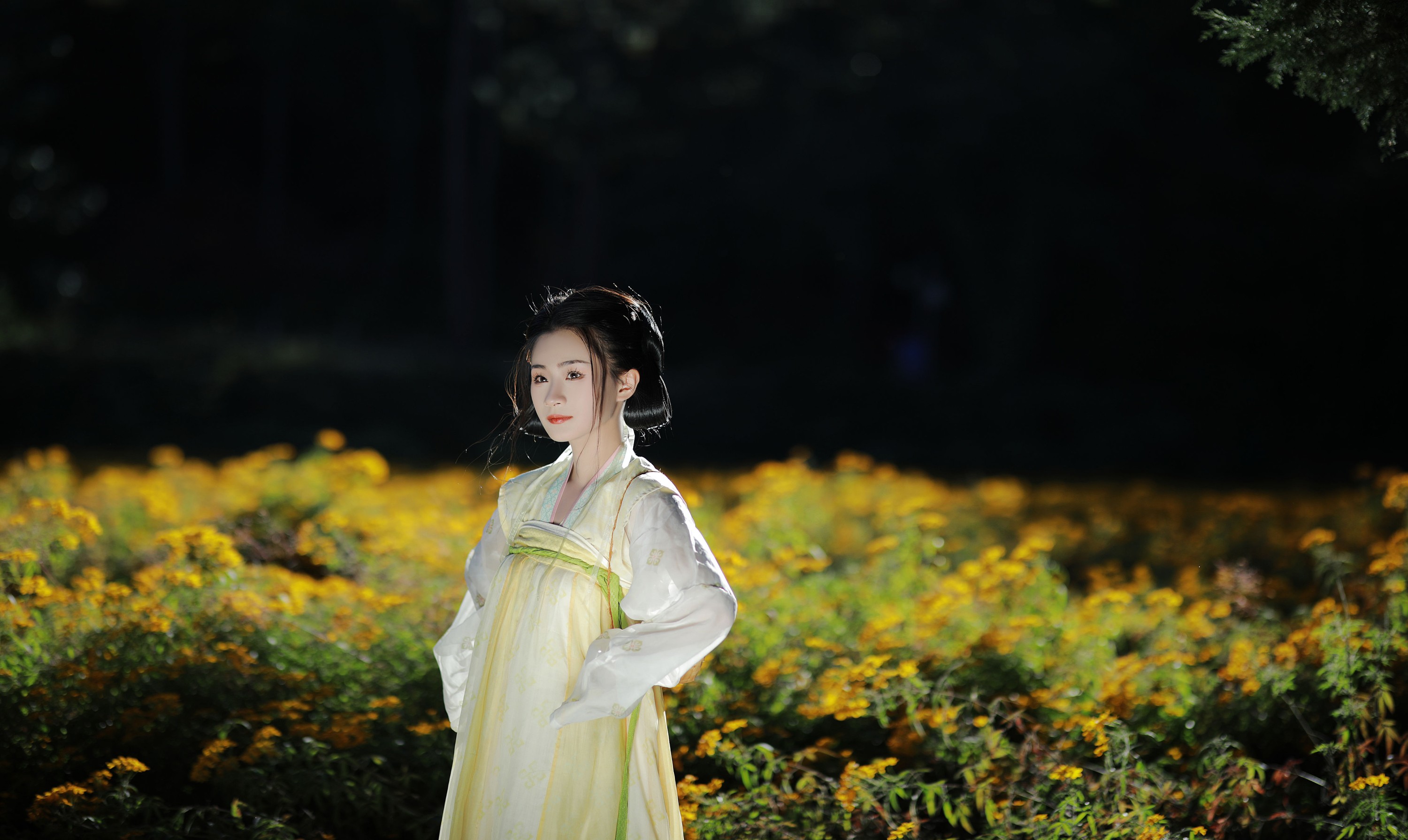 Y – 《我曾是一朵花》[33P]