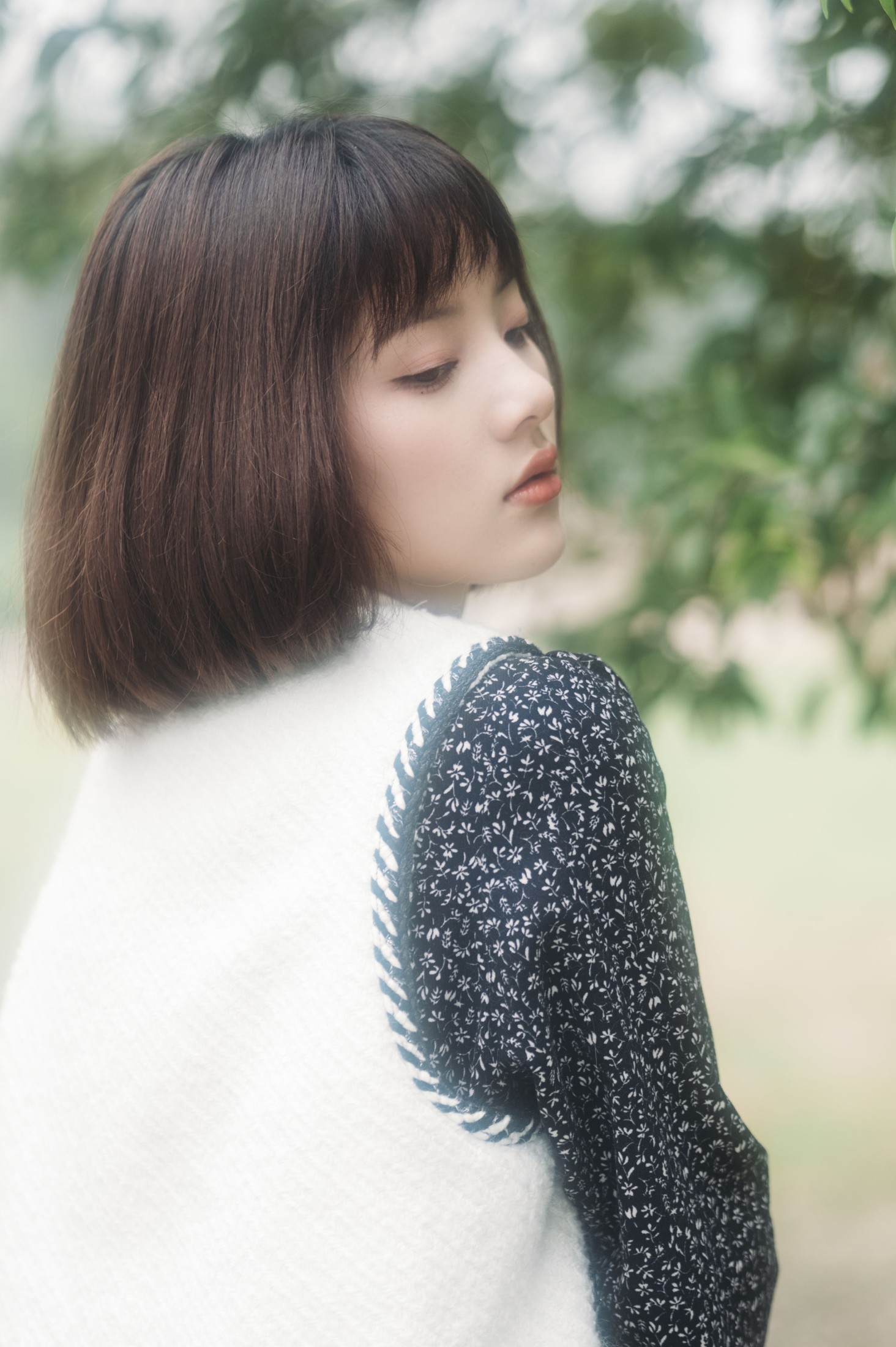 阿喵的饭饭 – 《美梦与诗歌》[27P]