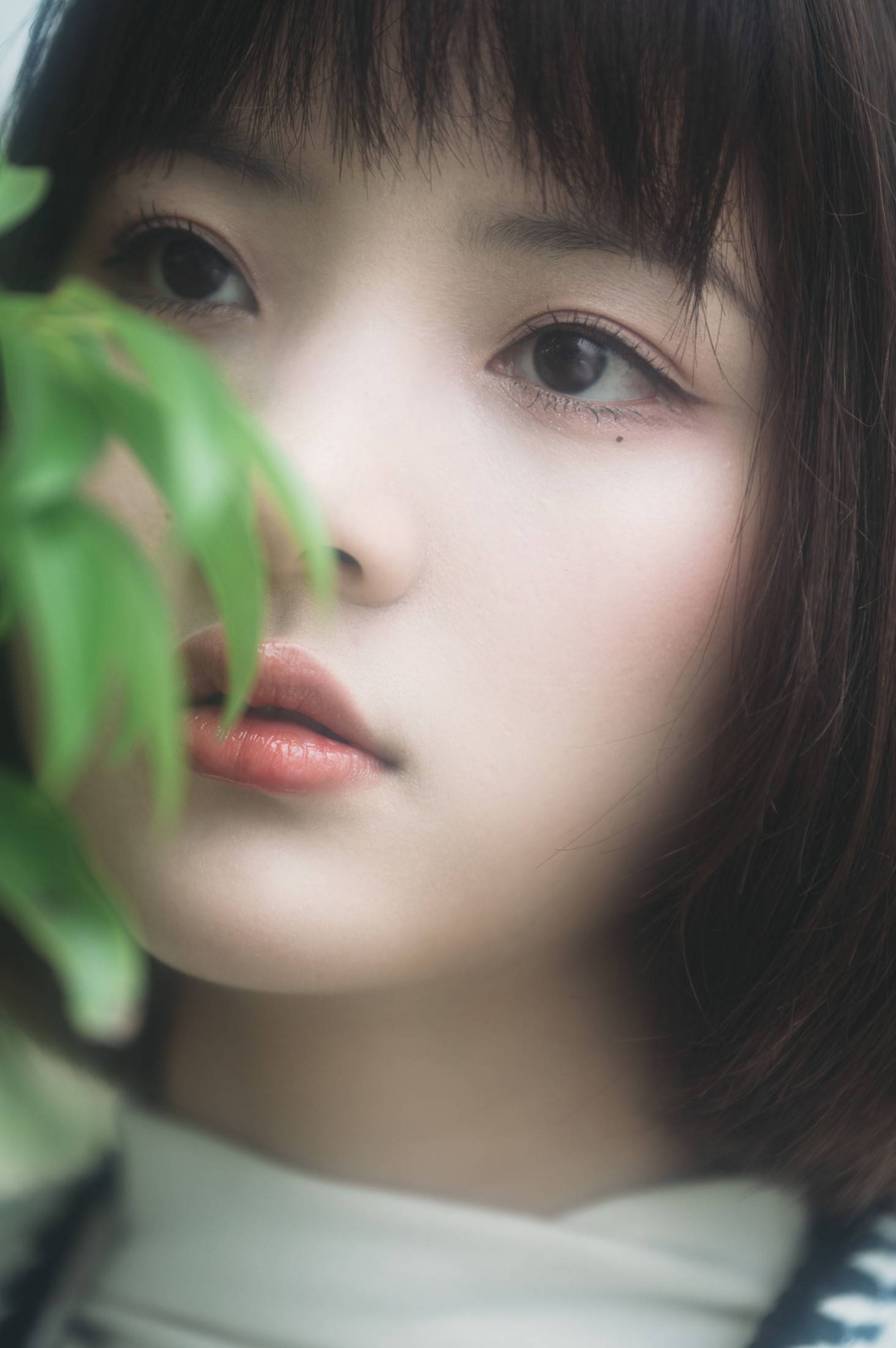 阿喵的饭饭 – 《美梦与诗歌》[27P]