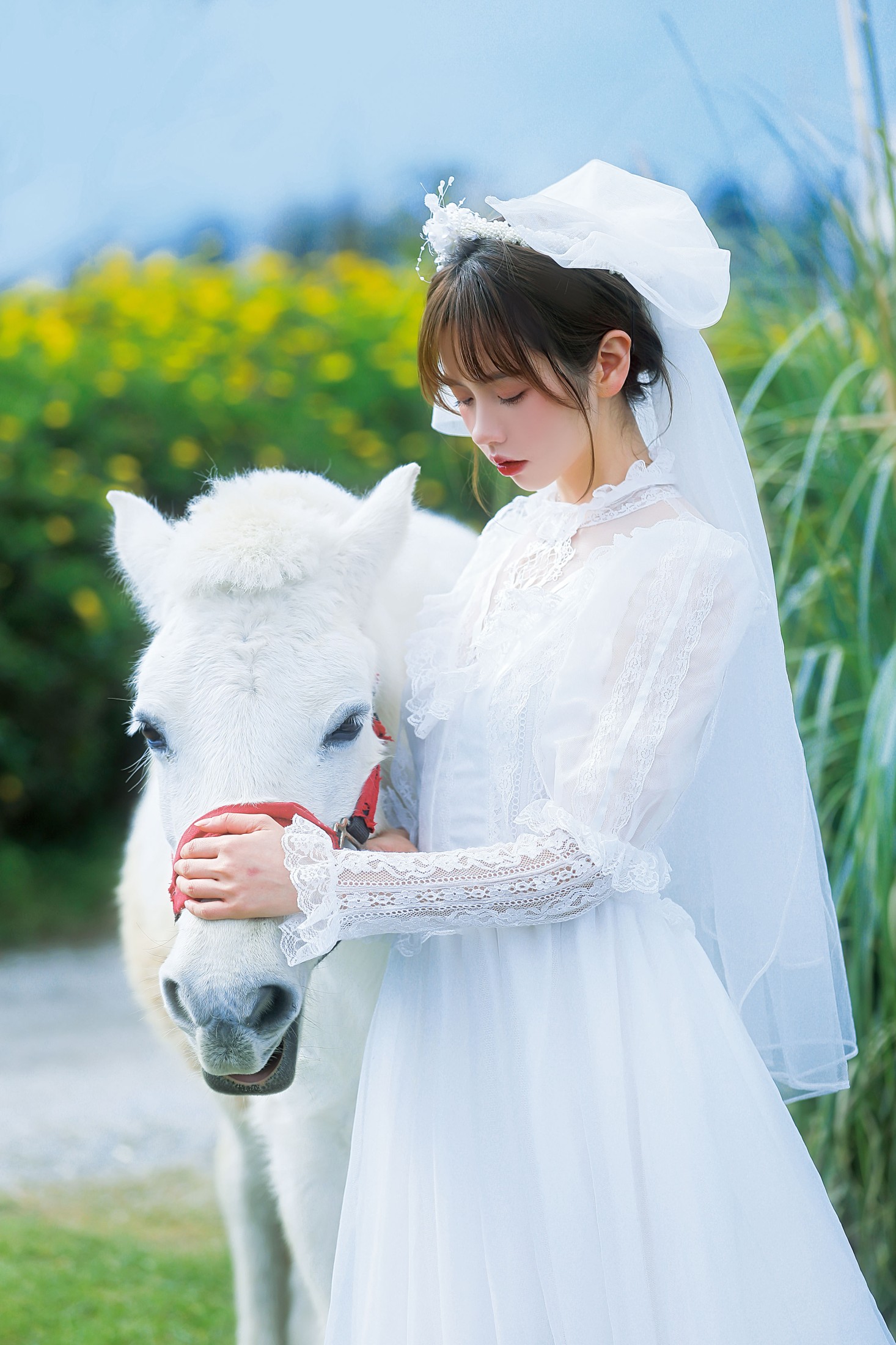 林木婷子 – 《桑桑，我带你回家。》[23P] 插图5