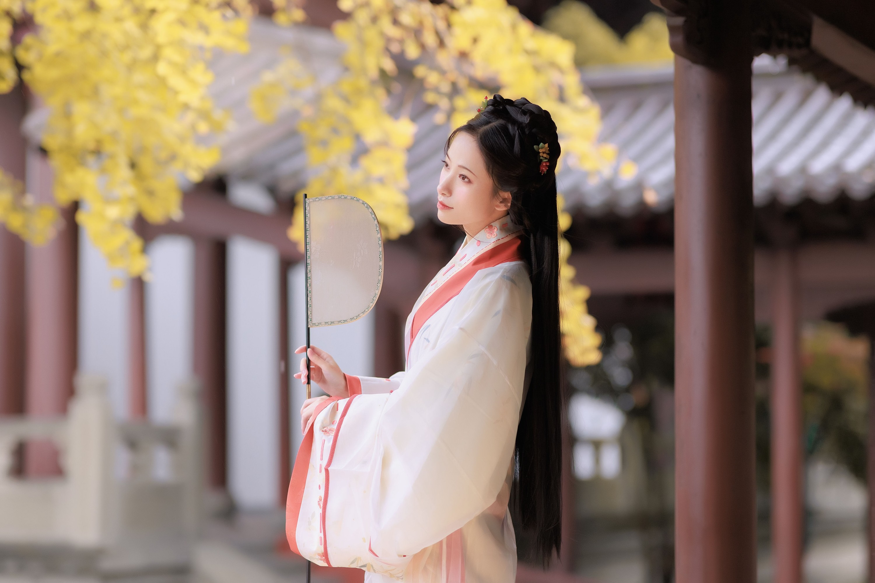 眸小妖 – 《雨中银杏》[24P]