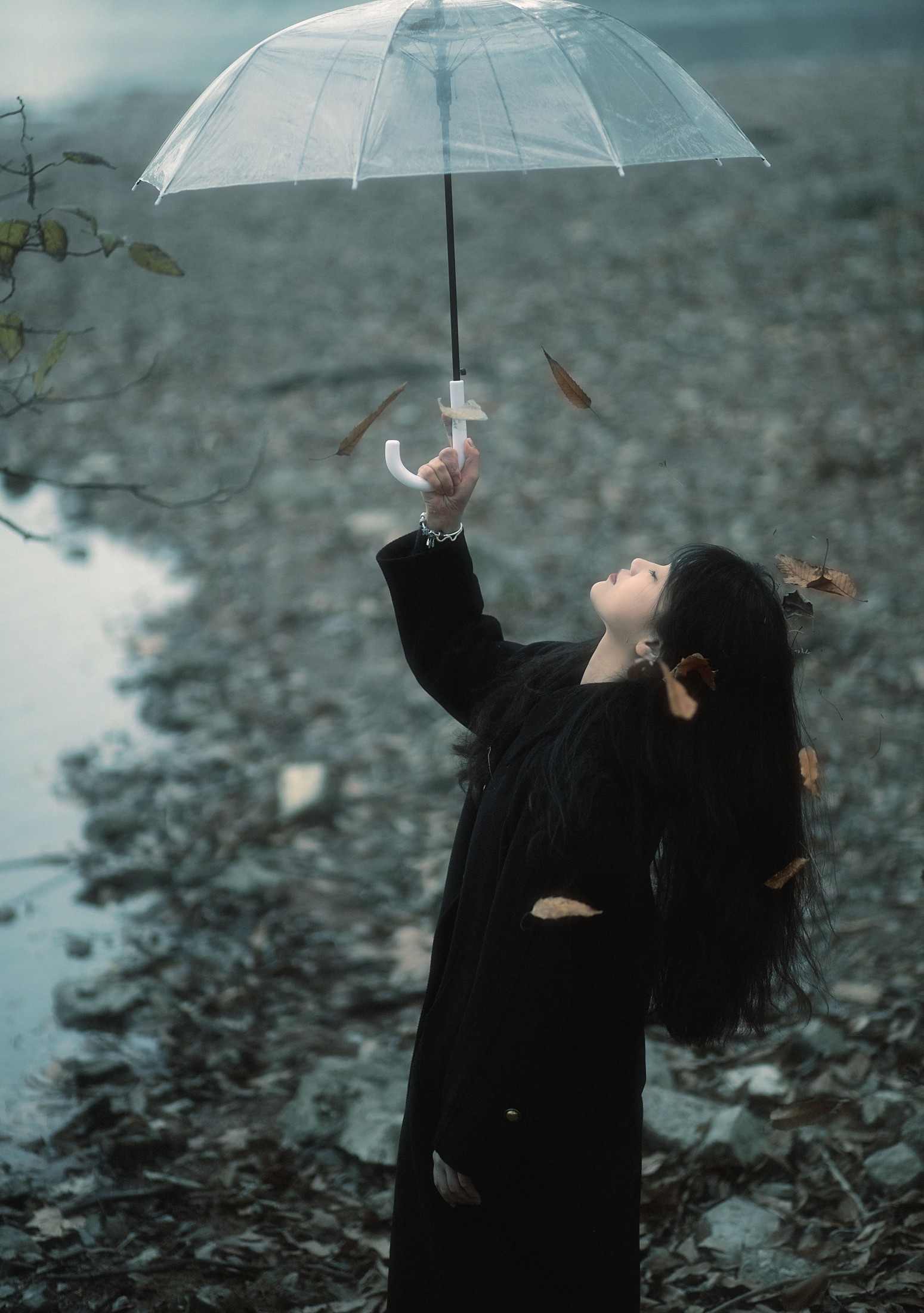 QQ糖 – 《蝴蝶飞走了》[22P]