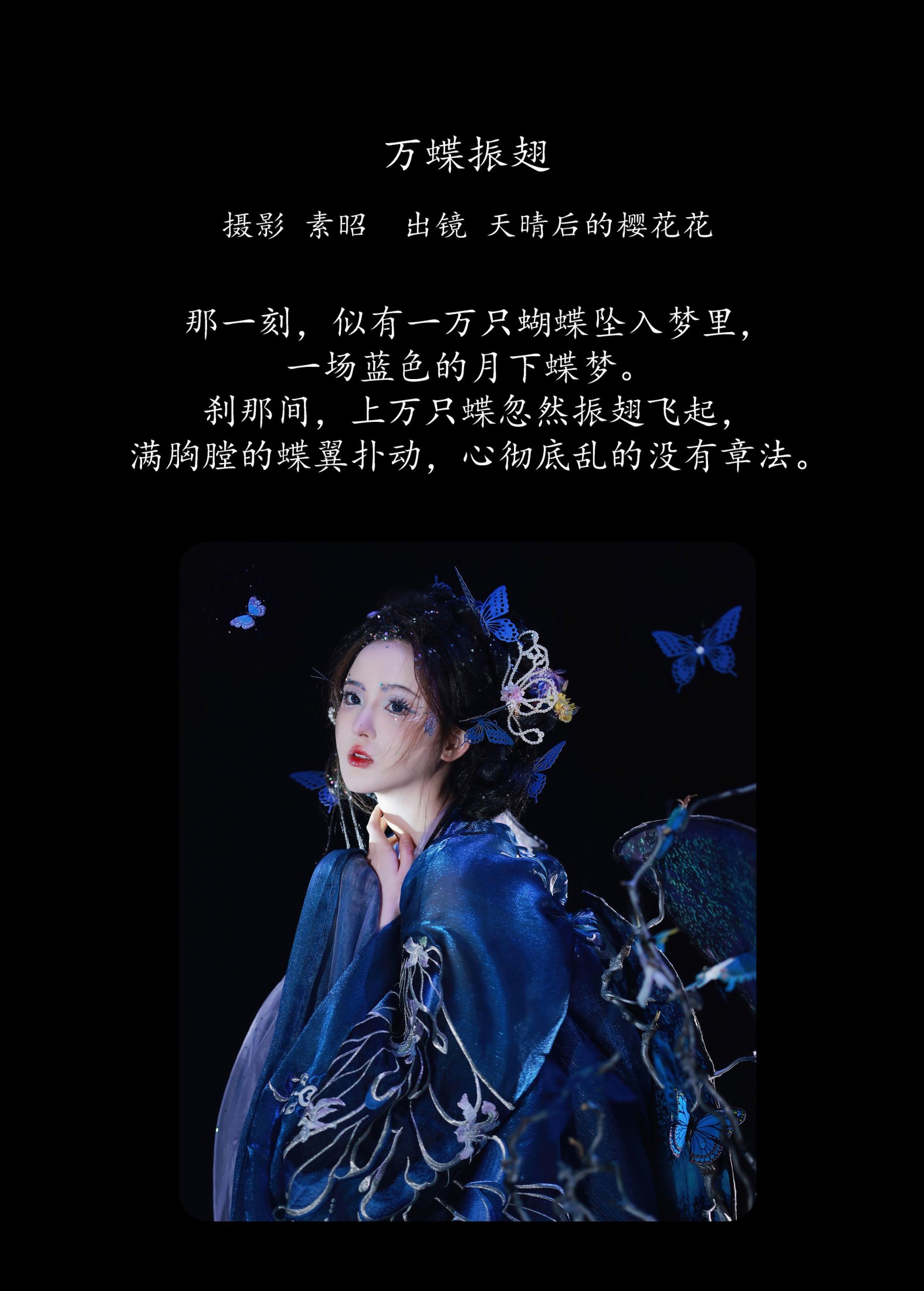 天晴后的樱花花 – 《万蝶振翅》[24P]