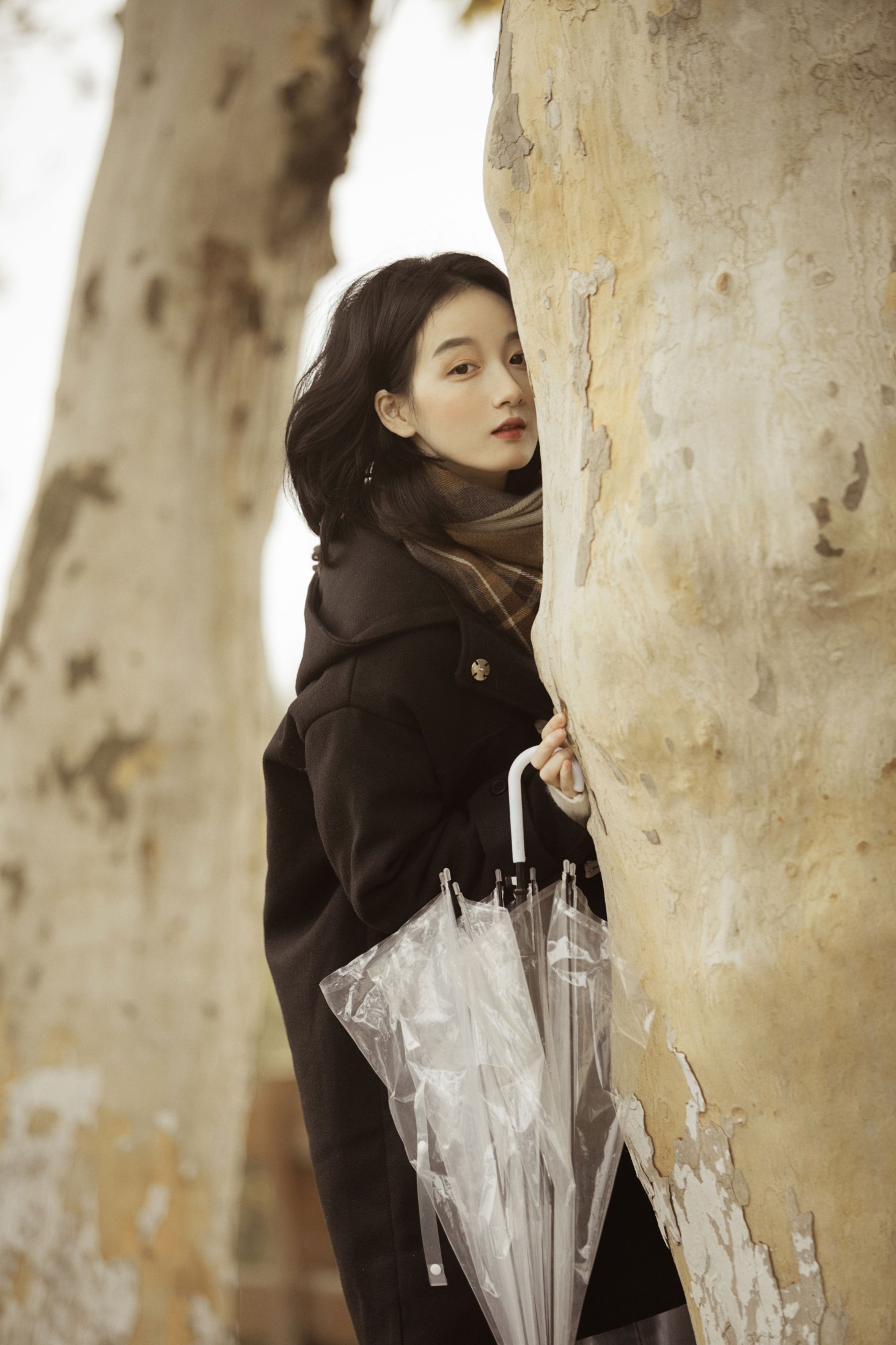 肖绿叶 – 《漫步梧桐林》[26P] 插图5