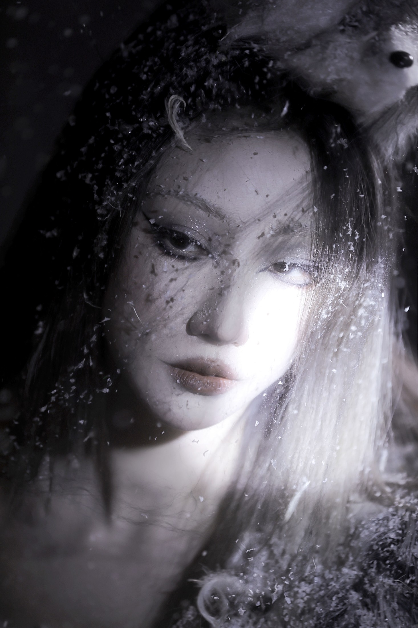 张别拉 – 《雪狐》[21P]