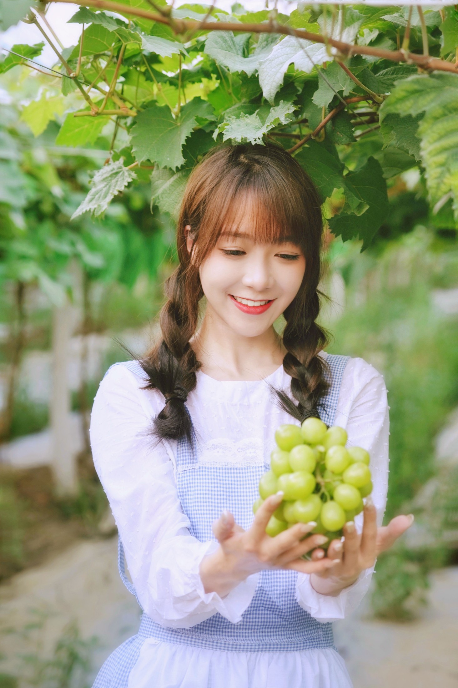 鸭鸭 – 《葡萄园丰收的喜悦》[24P]