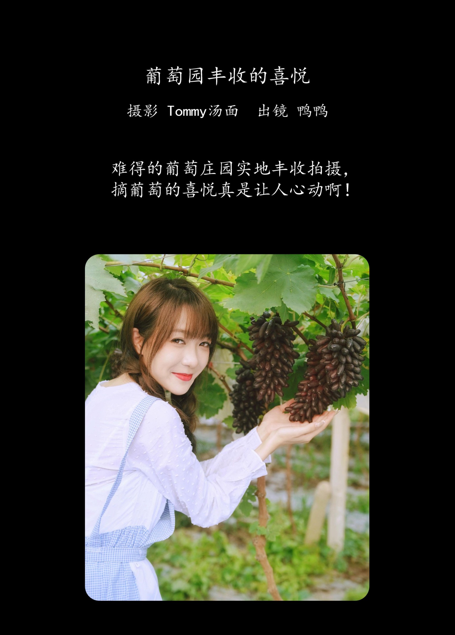 鸭鸭 – 《葡萄园丰收的喜悦》[24P]