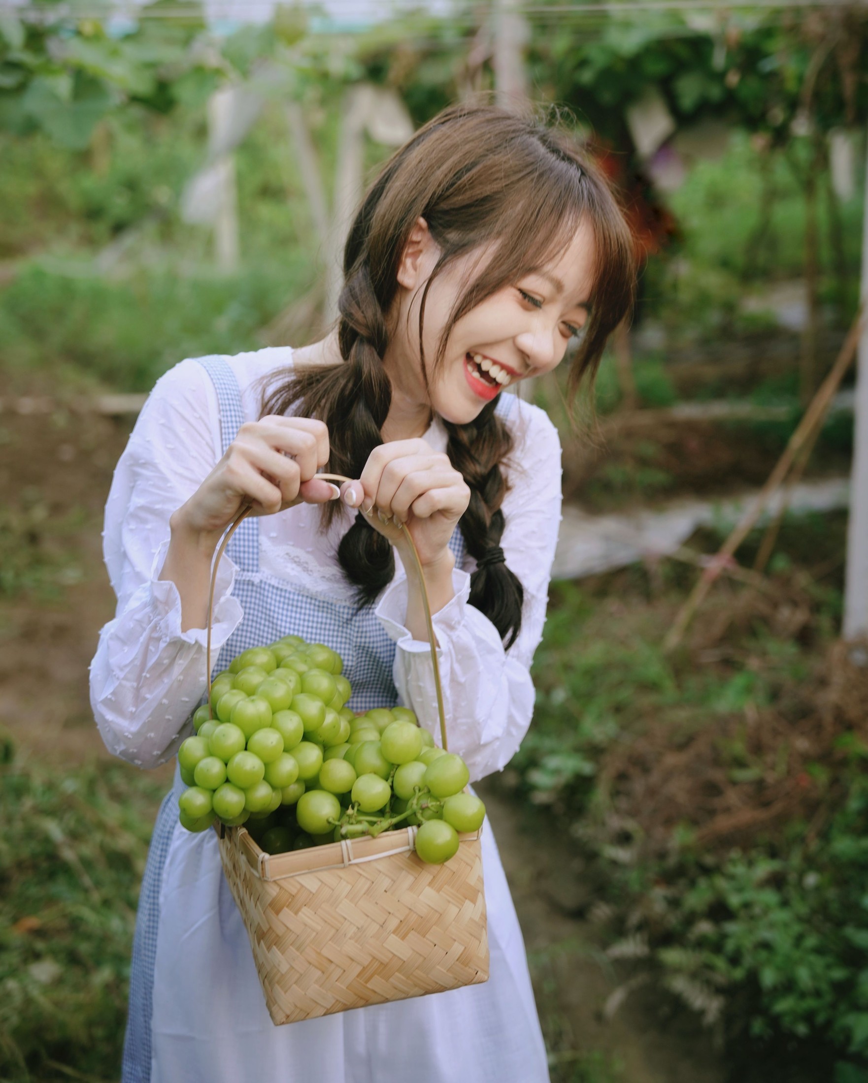 鸭鸭 – 《葡萄园丰收的喜悦》[24P]