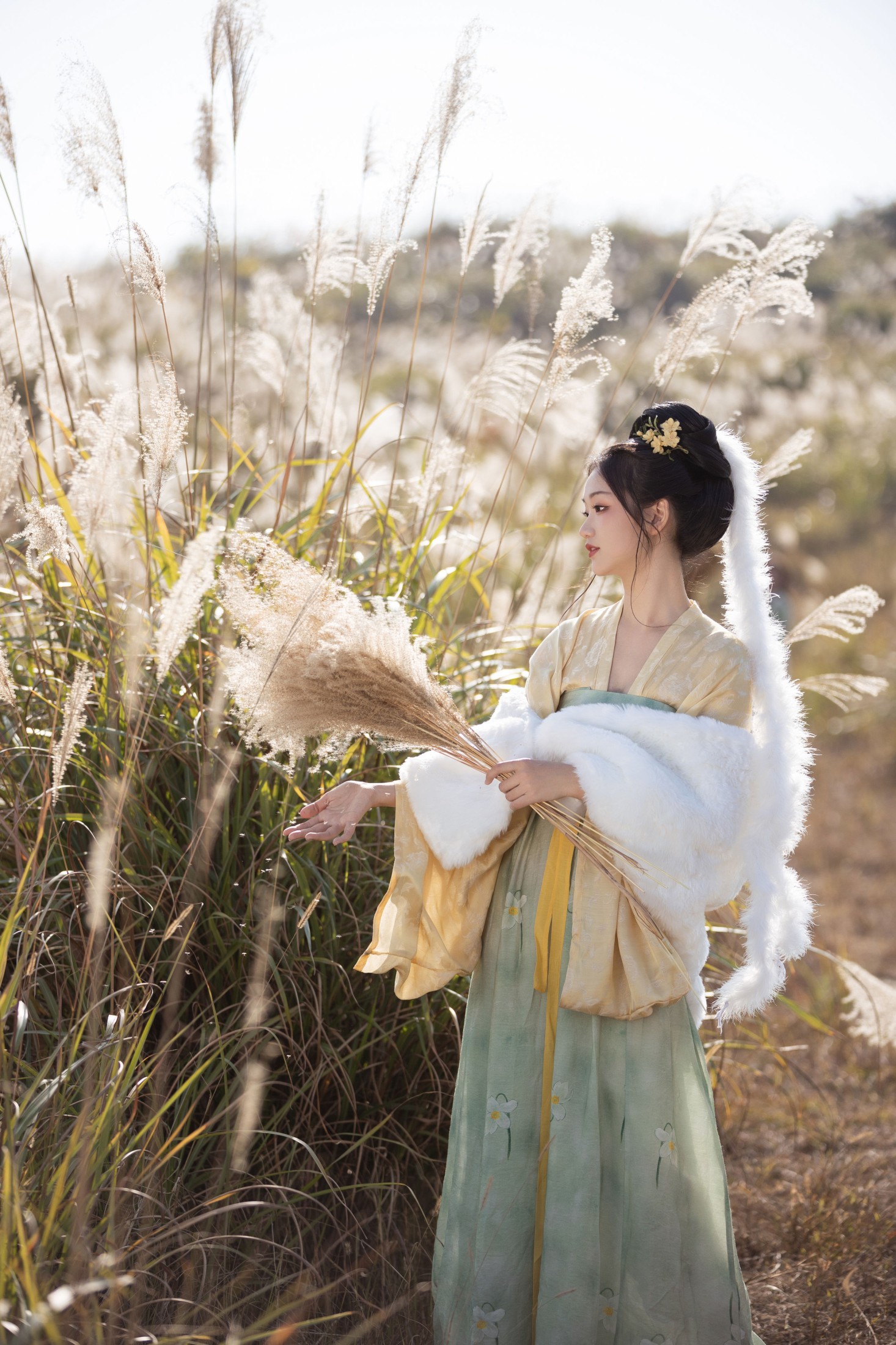 晚江亭 – 《芦苇晚风鸣》[26P]