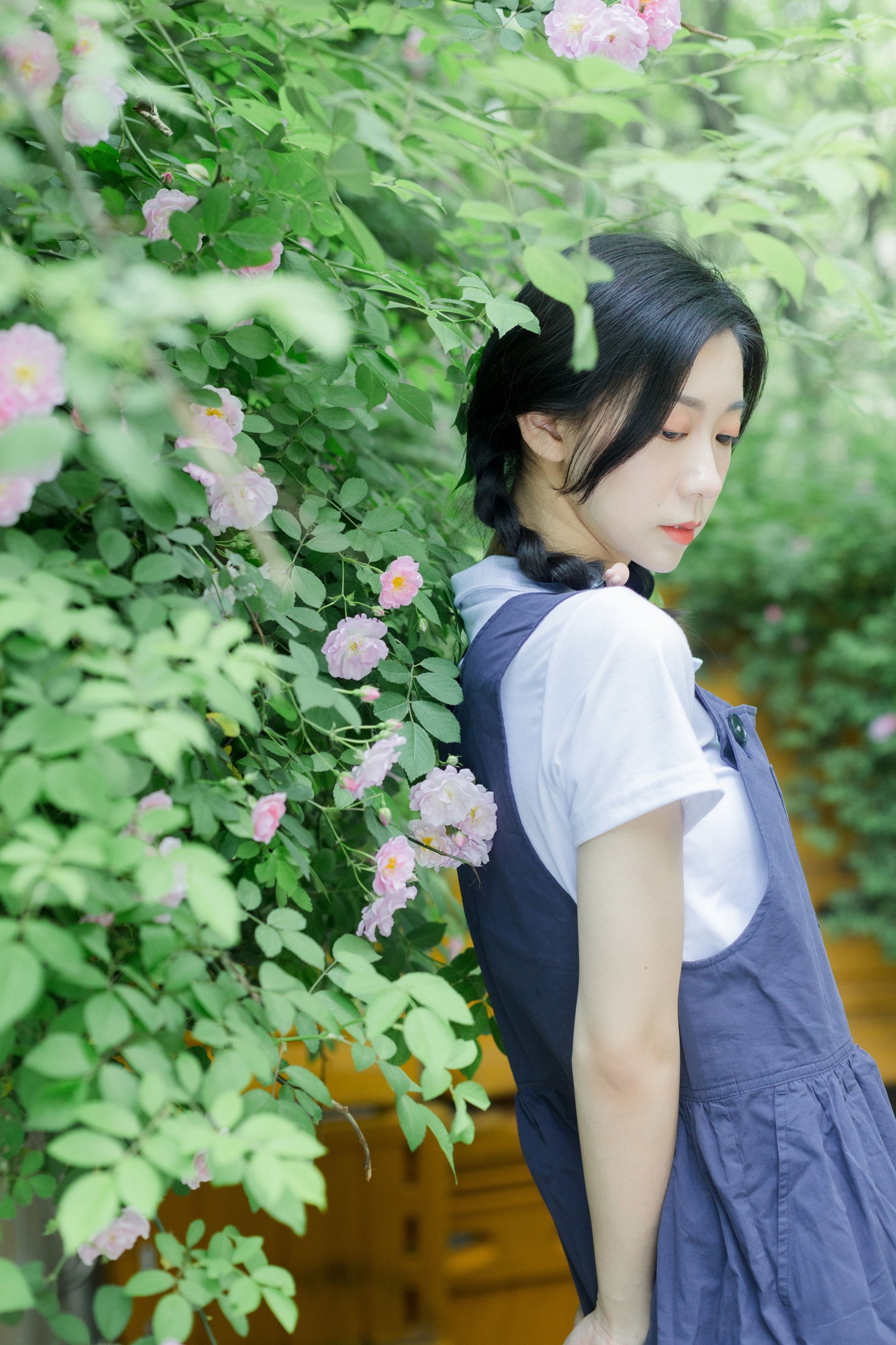 饲猫少女- – 《除了春天和蔷薇》[26P] 插图5