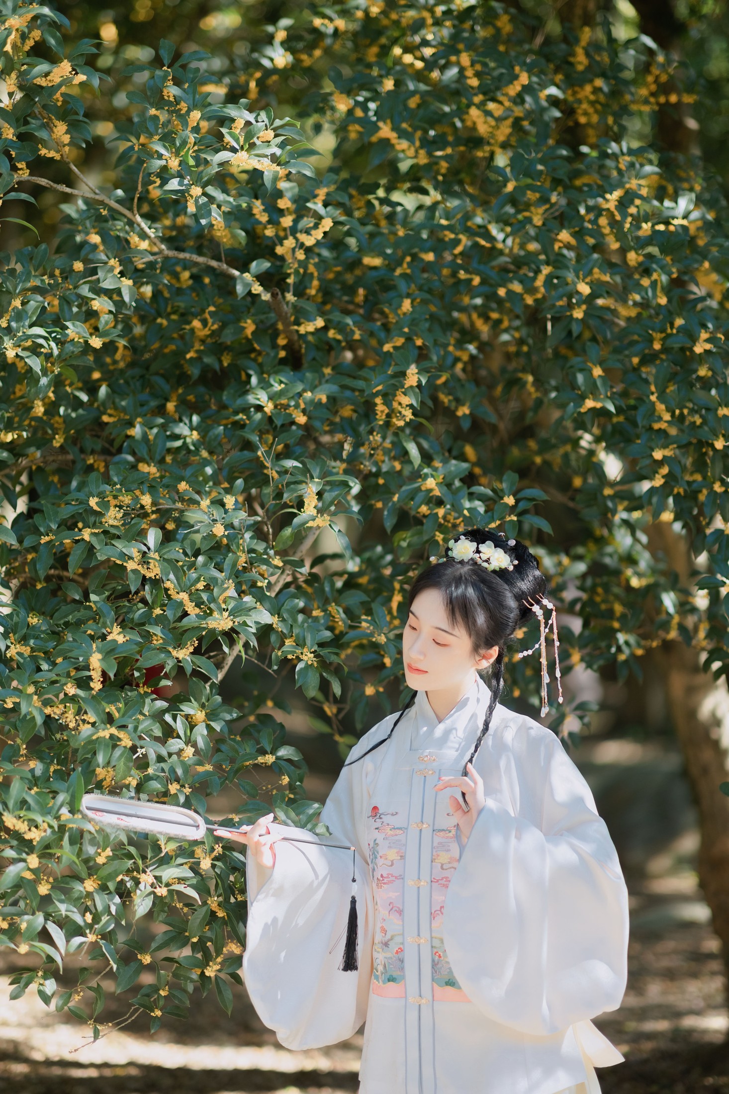 方莛玉 – 《折桂令》[33P]