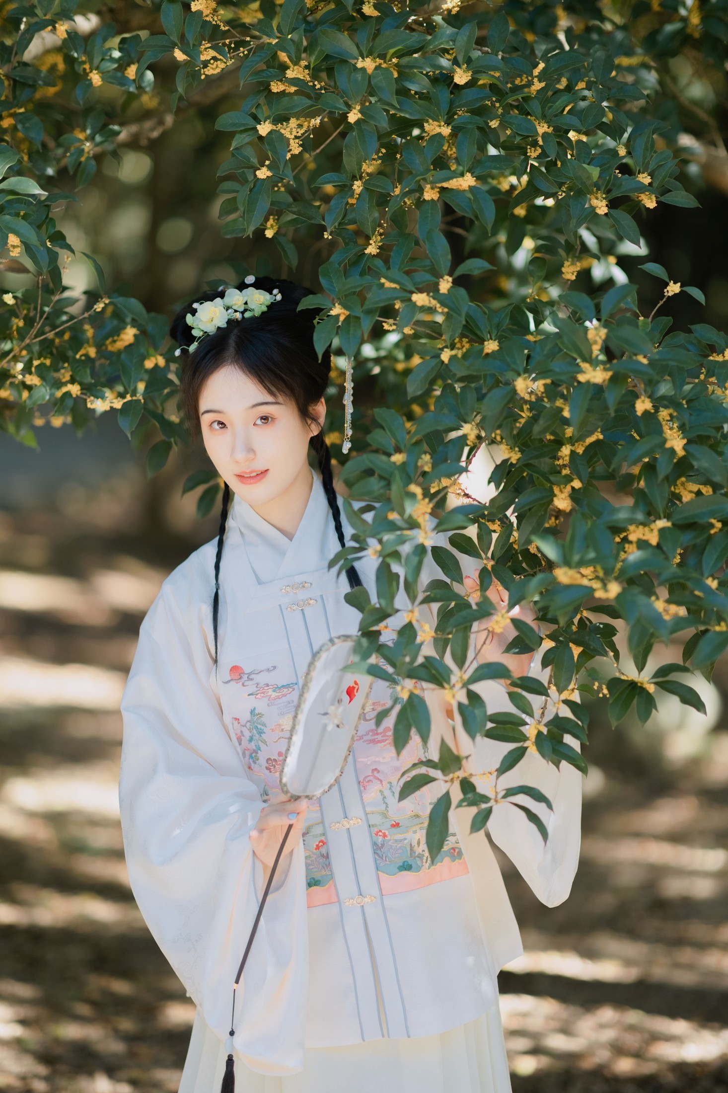 方莛玉 – 《折桂令》[33P]