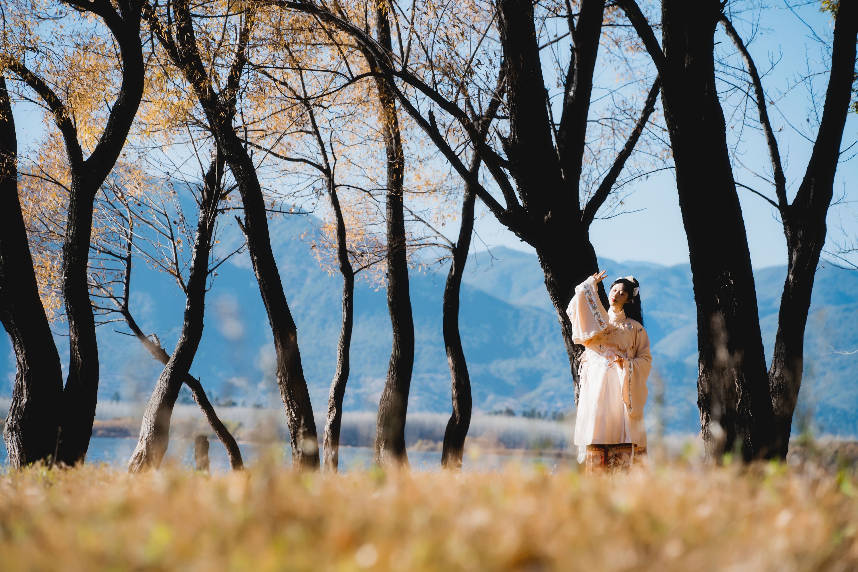 木棉棉VwV – 《山川如酒》[36P]