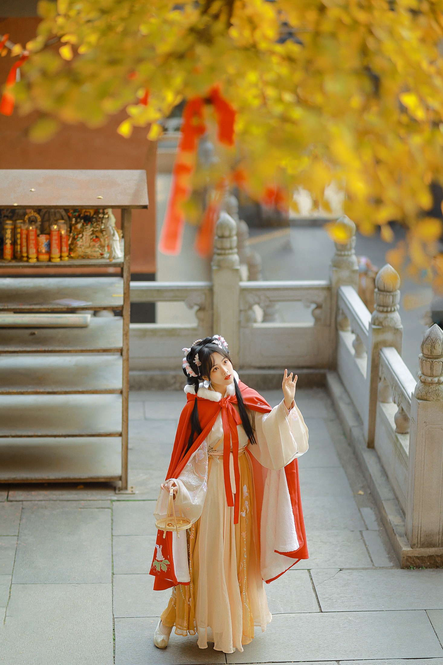 是蝶绪咩 – 《银杏汉服》[22P]