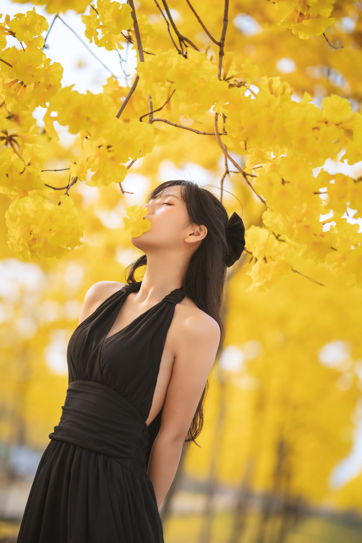 萌芽儿o0 – 《秋有银杏 春有黄风铃》[25P] 插图5