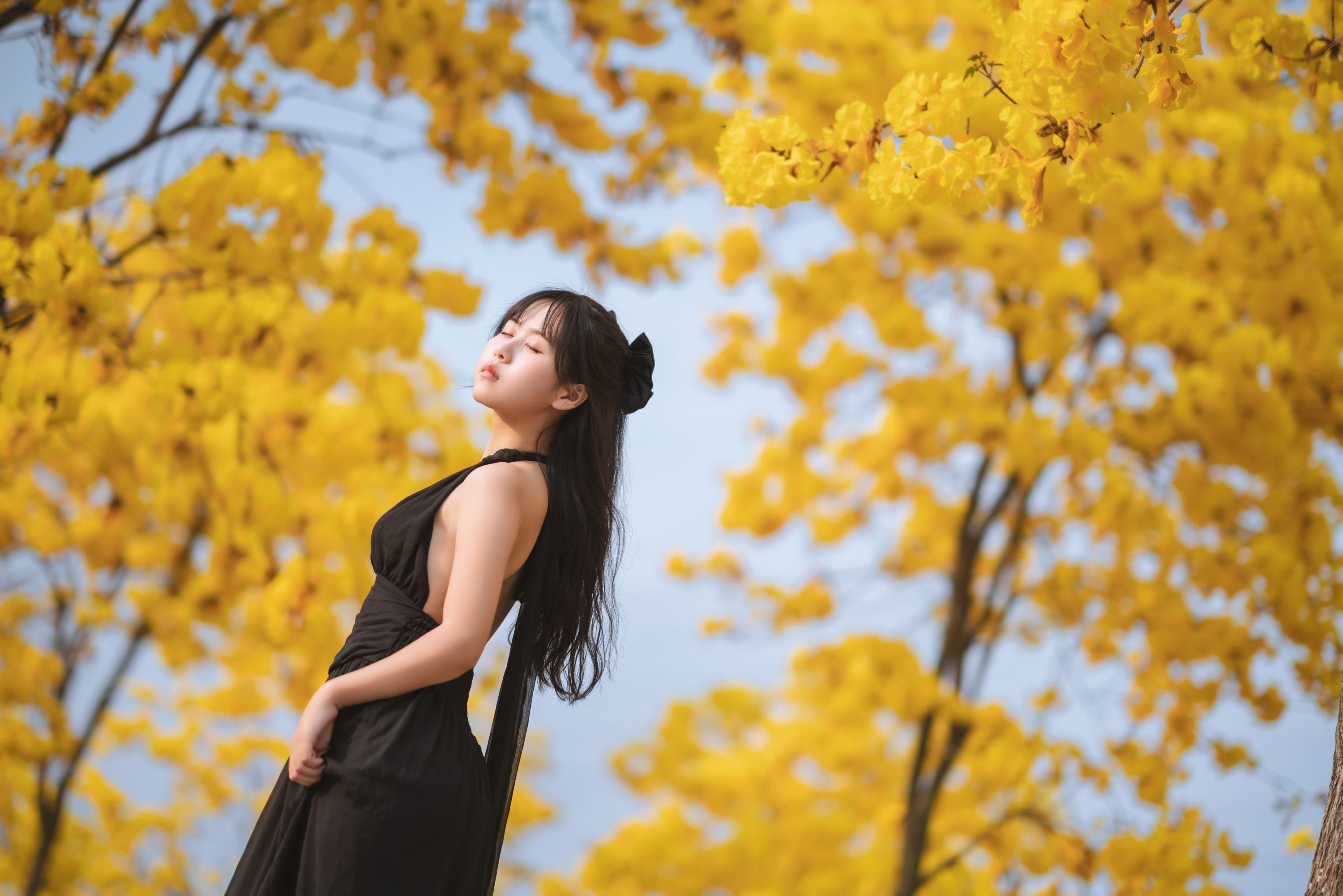 萌芽儿o0 – 《秋有银杏 春有黄风铃》[25P] 插图4