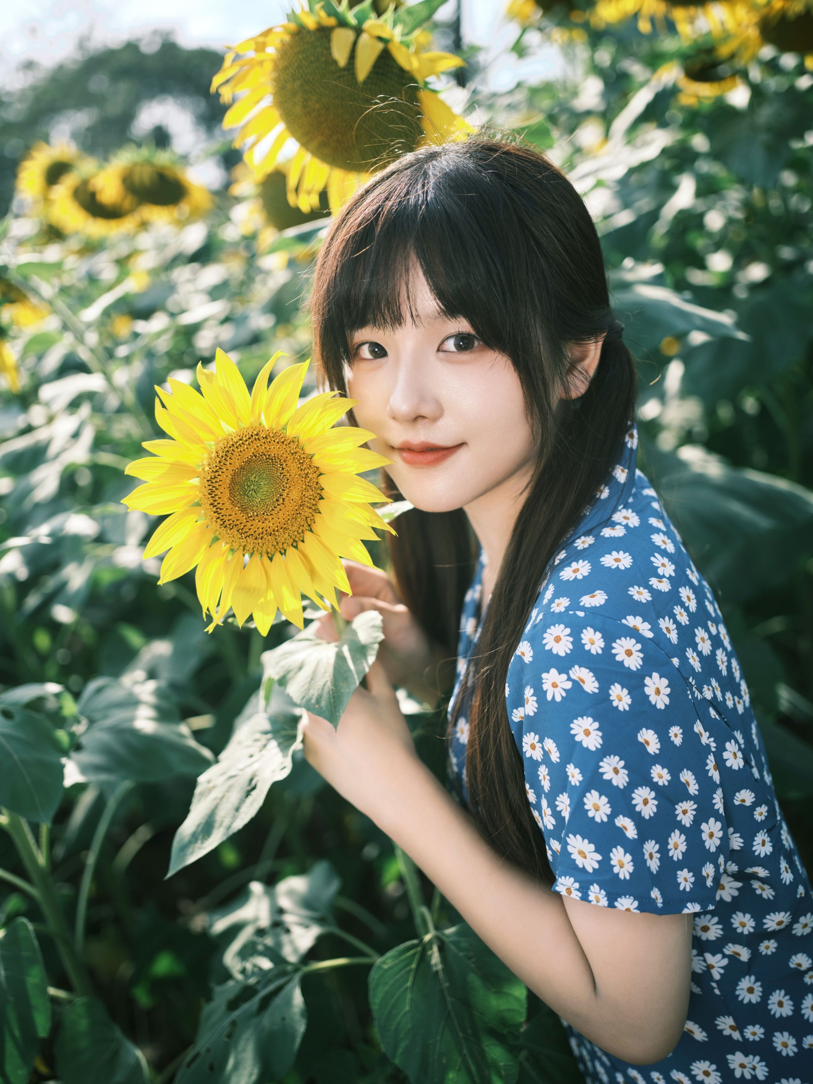 宵宵喵 – 《向日葵》[28P]