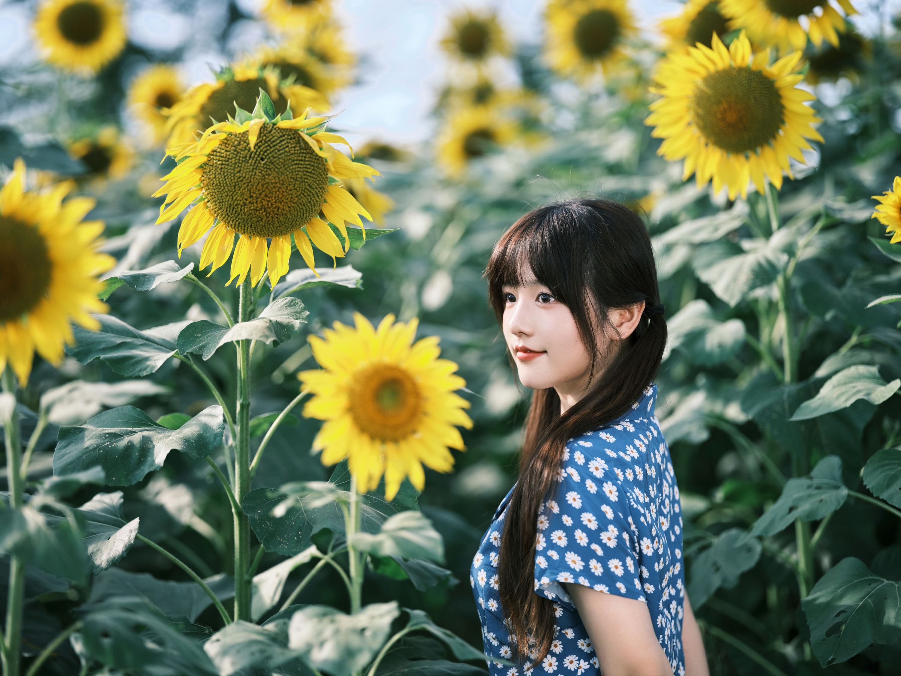 宵宵喵 – 《向日葵》[28P]