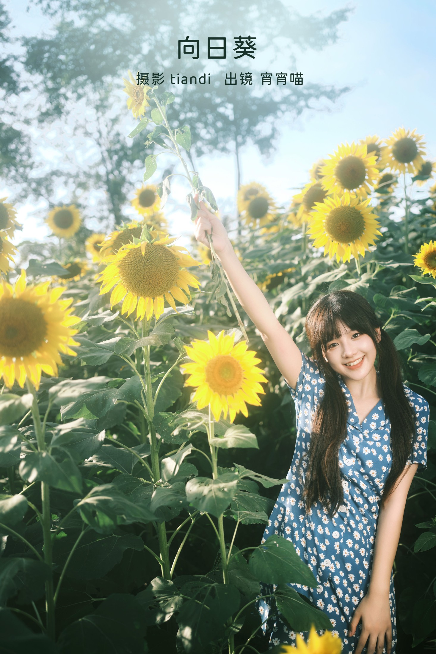 宵宵喵 – 《向日葵》[28P]