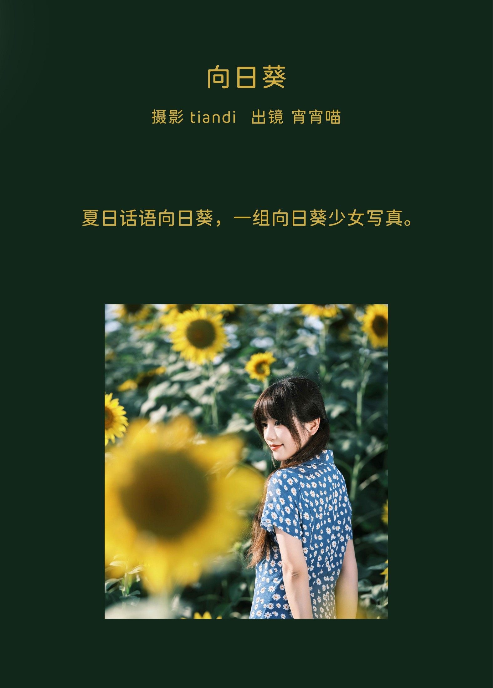 宵宵喵 – 《向日葵》[28P]