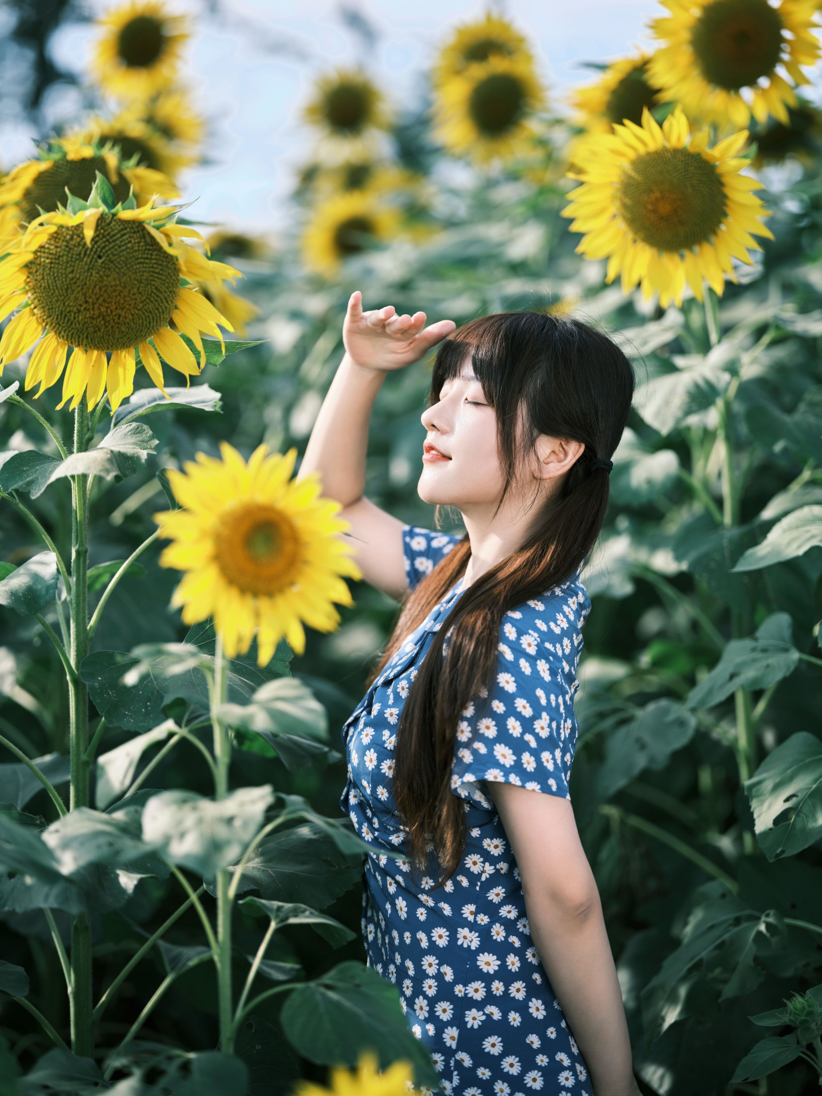 宵宵喵 – 《向日葵》[28P]