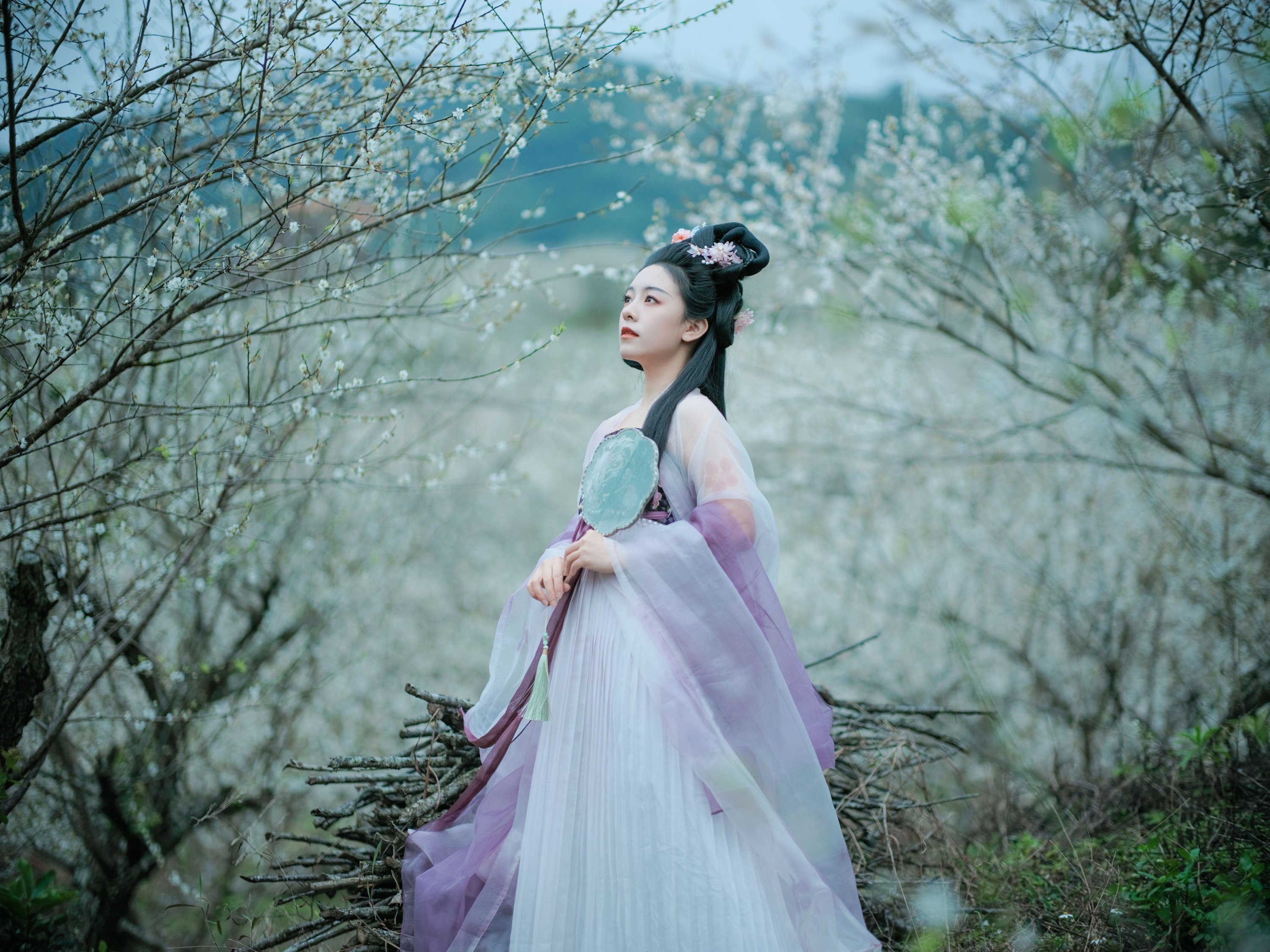 乐嫣 – 《梅花三弄》[27P]