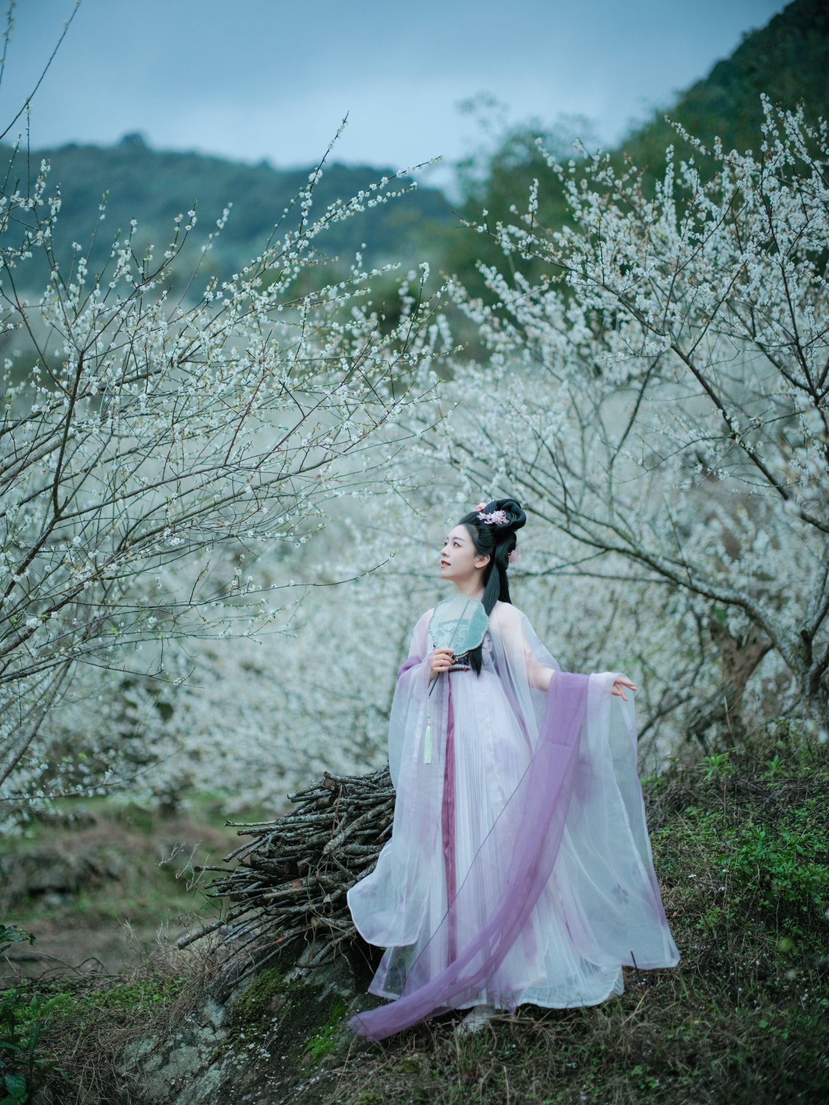 乐嫣 – 《梅花三弄》[27P]