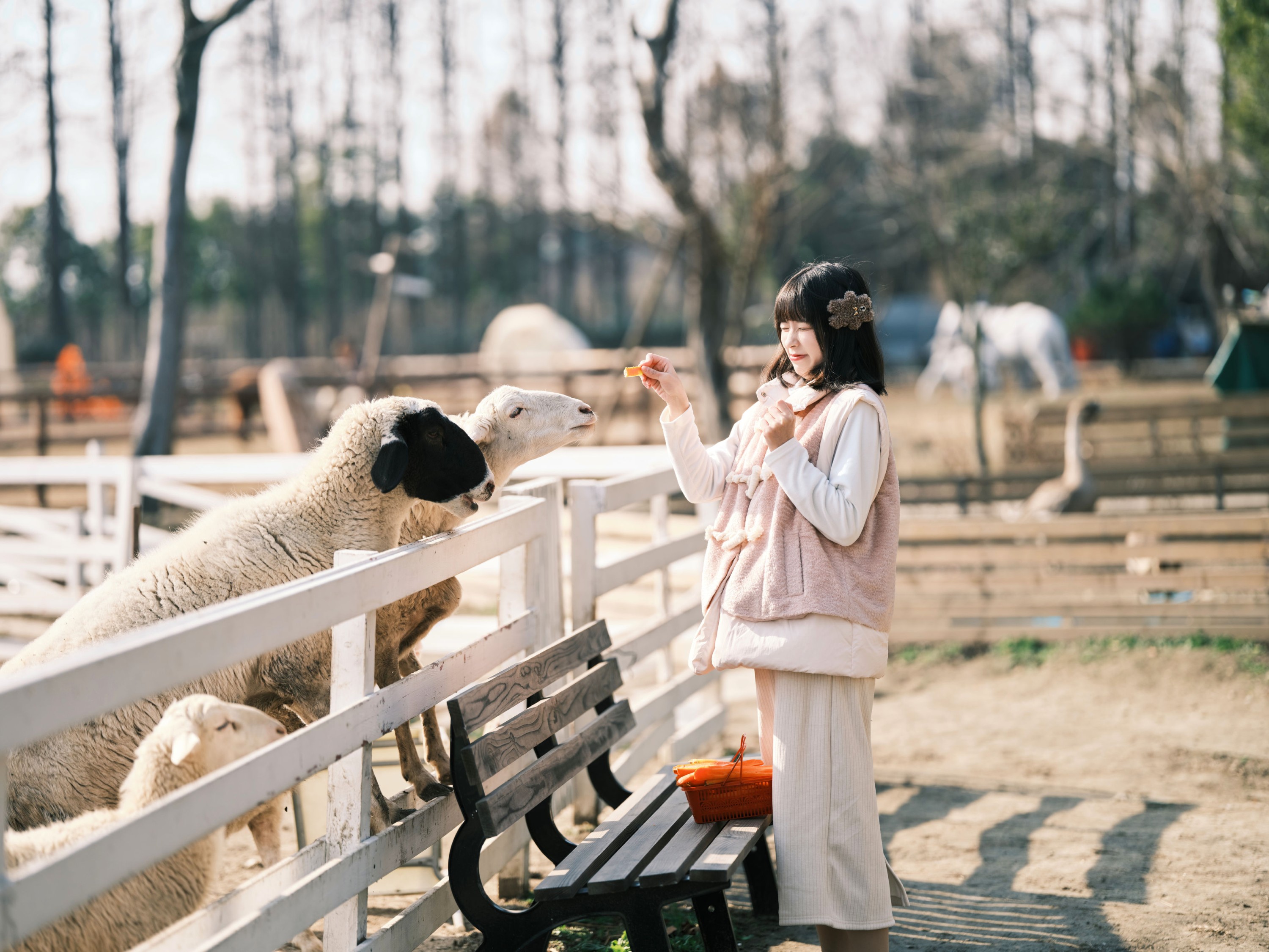 宁宁头w – 《牧场物语》[38P]