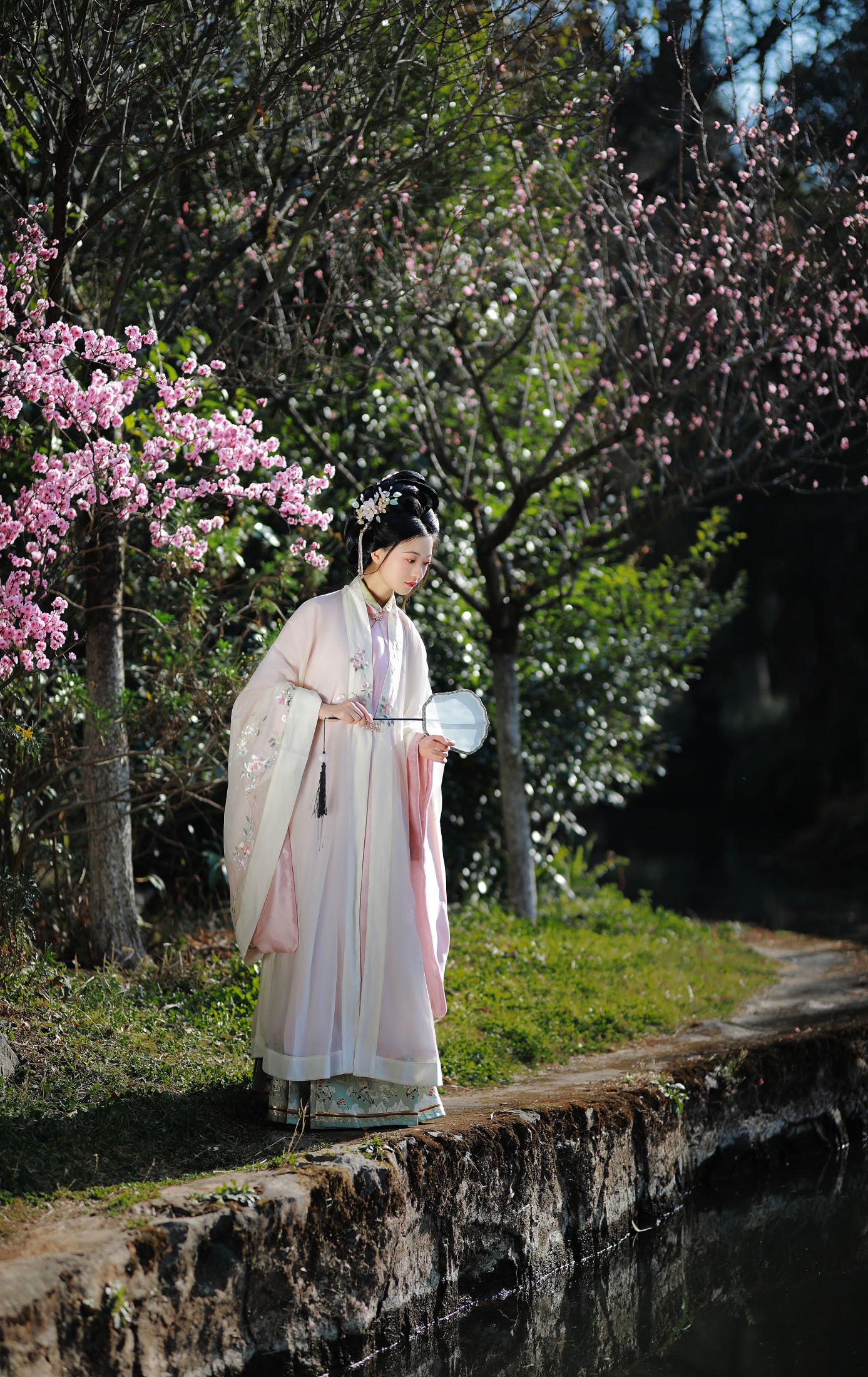 与芳 – 《安之若命》[33P]