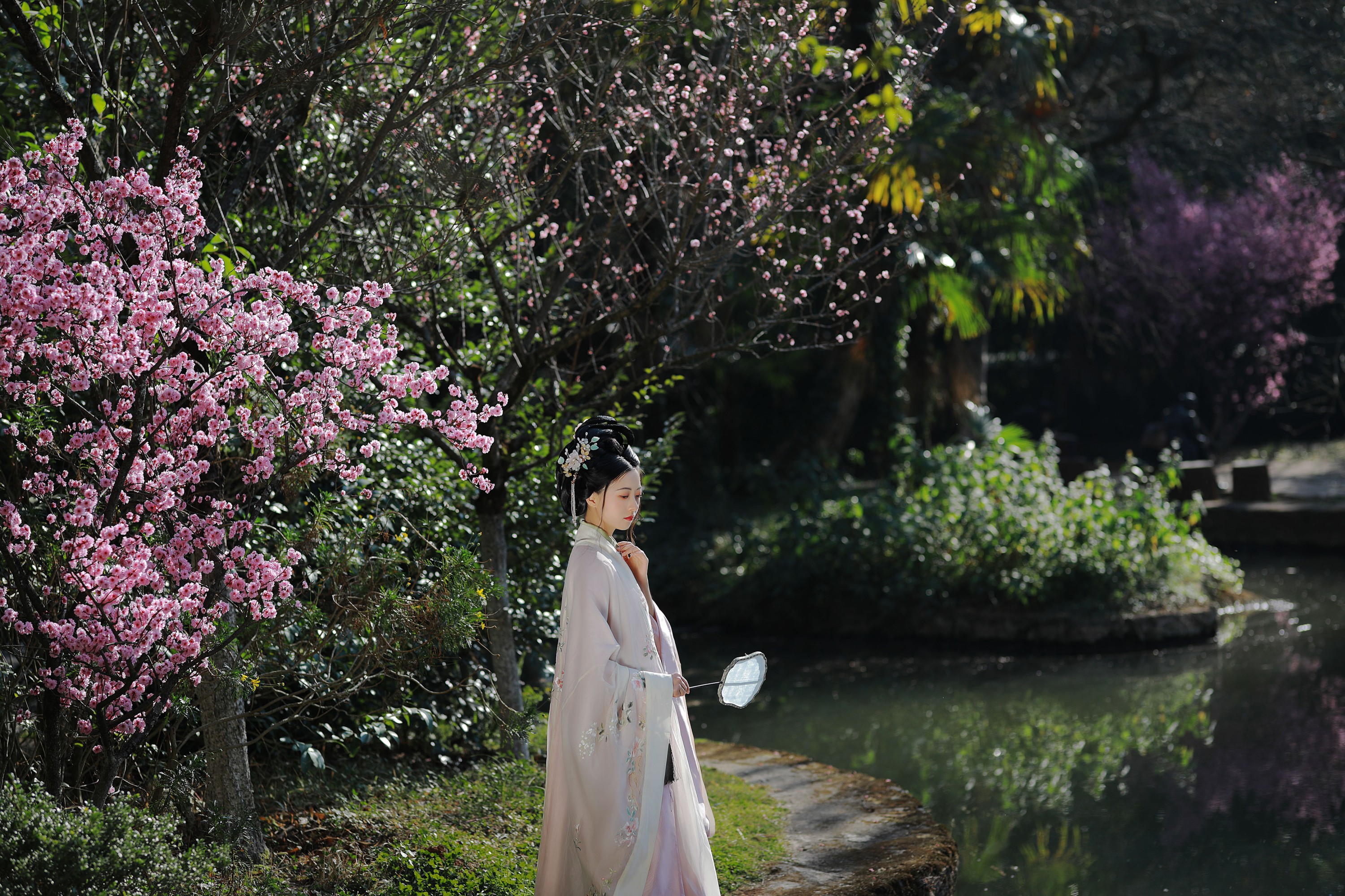 与芳 – 《安之若命》[33P]