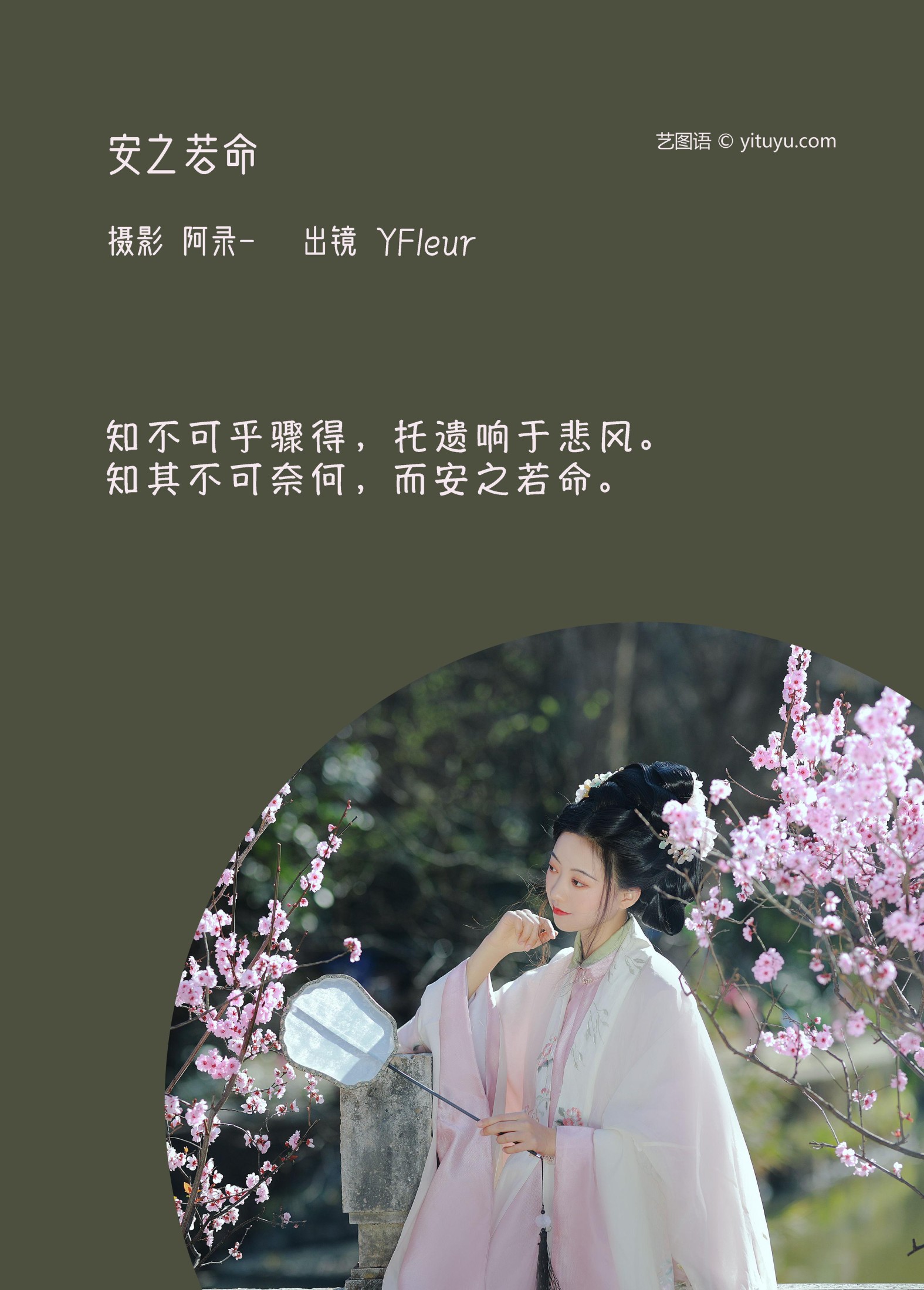 与芳 – 《安之若命》[33P]