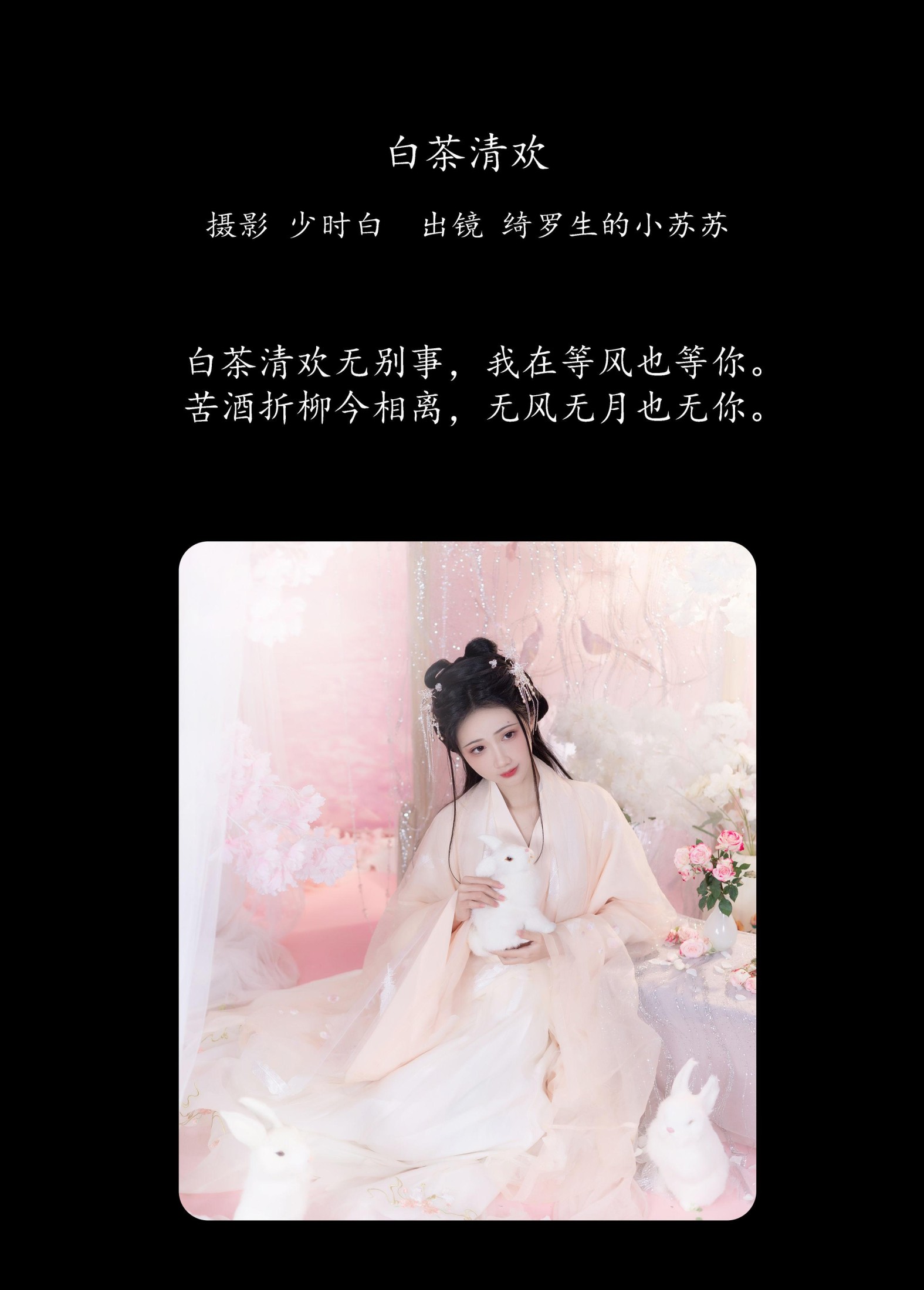 绮罗生的小苏苏 – 《白茶清欢》[27P]