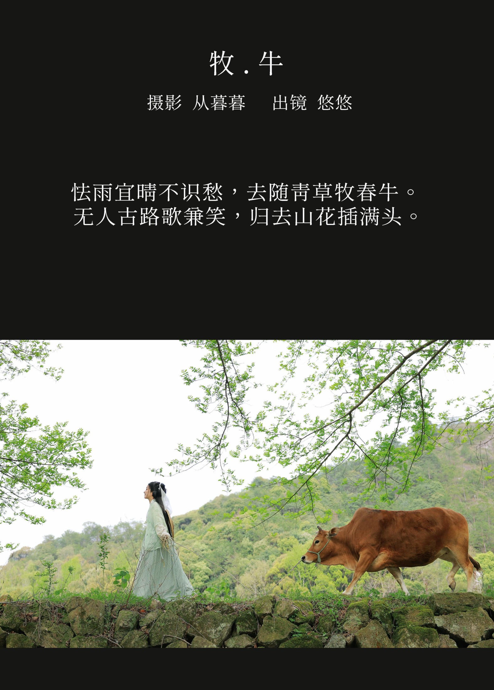 小清菡呀  – 《 牧牛》[22P]