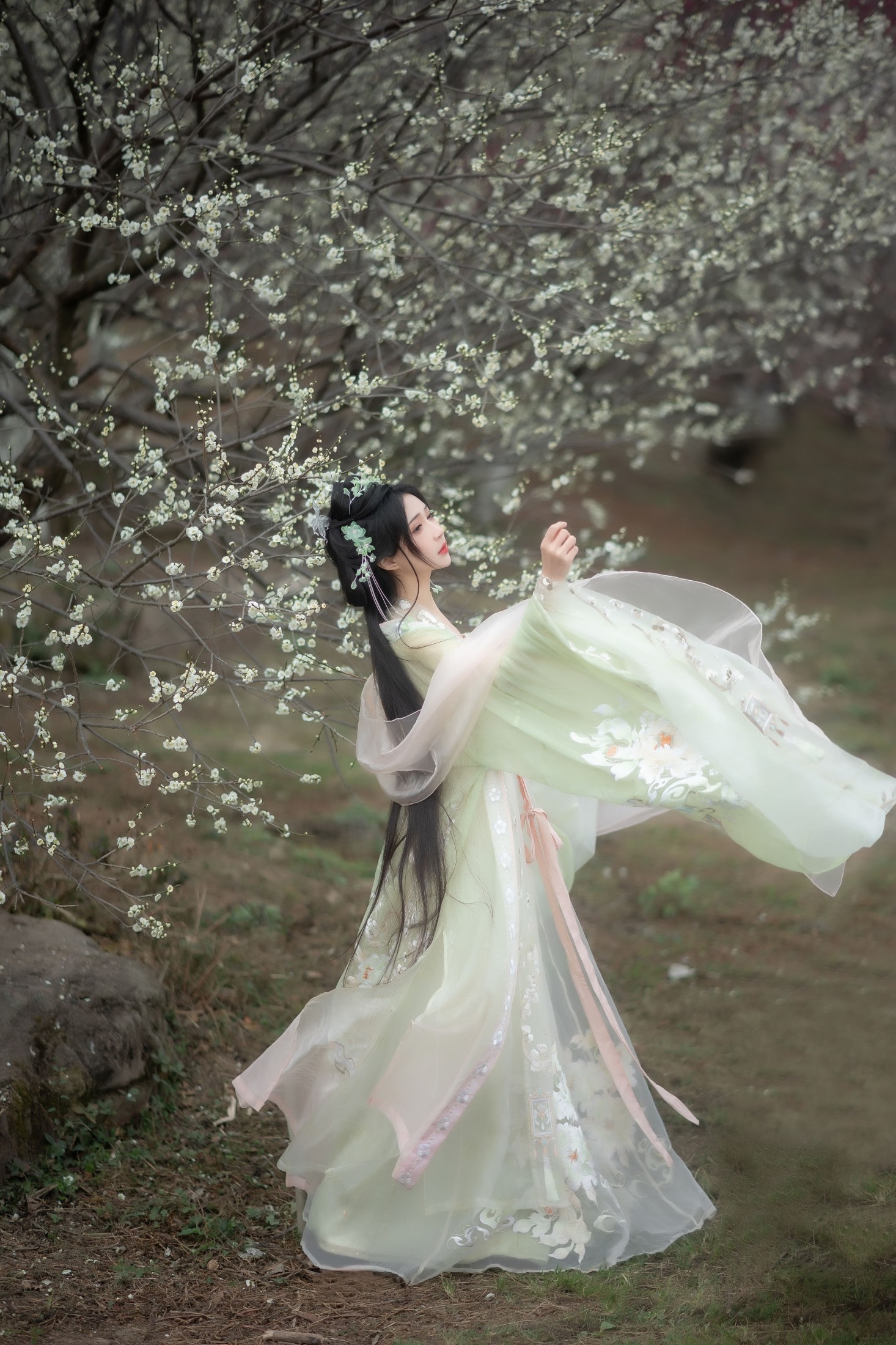 绮罗生的小苏苏 – 《故逢春》[26P]