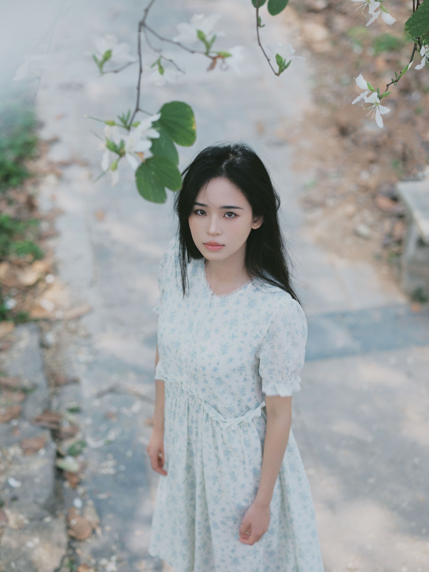 仲夏廿一 – 《时光画卷》[40P]