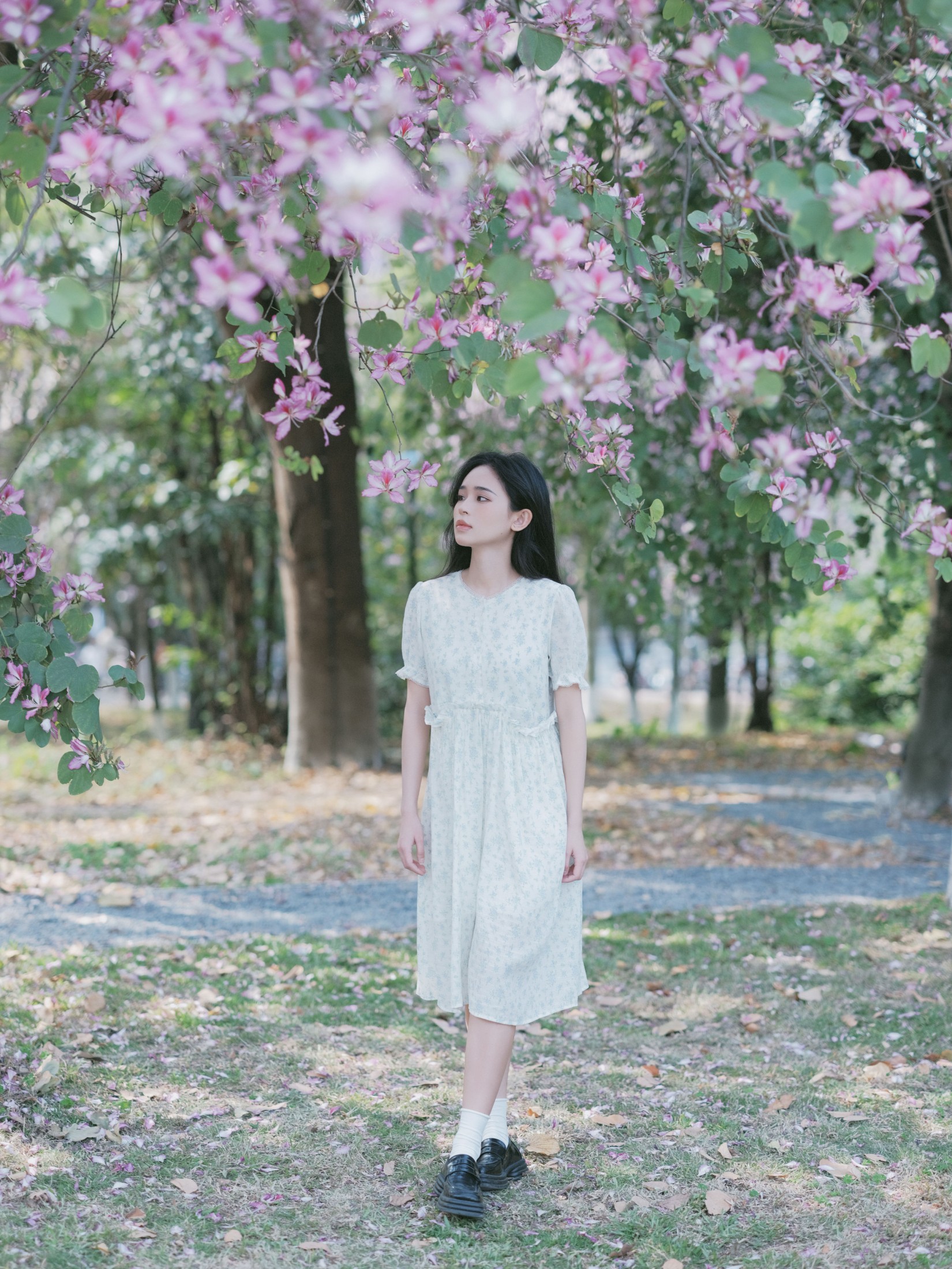 仲夏廿一 – 《时光画卷》[40P]