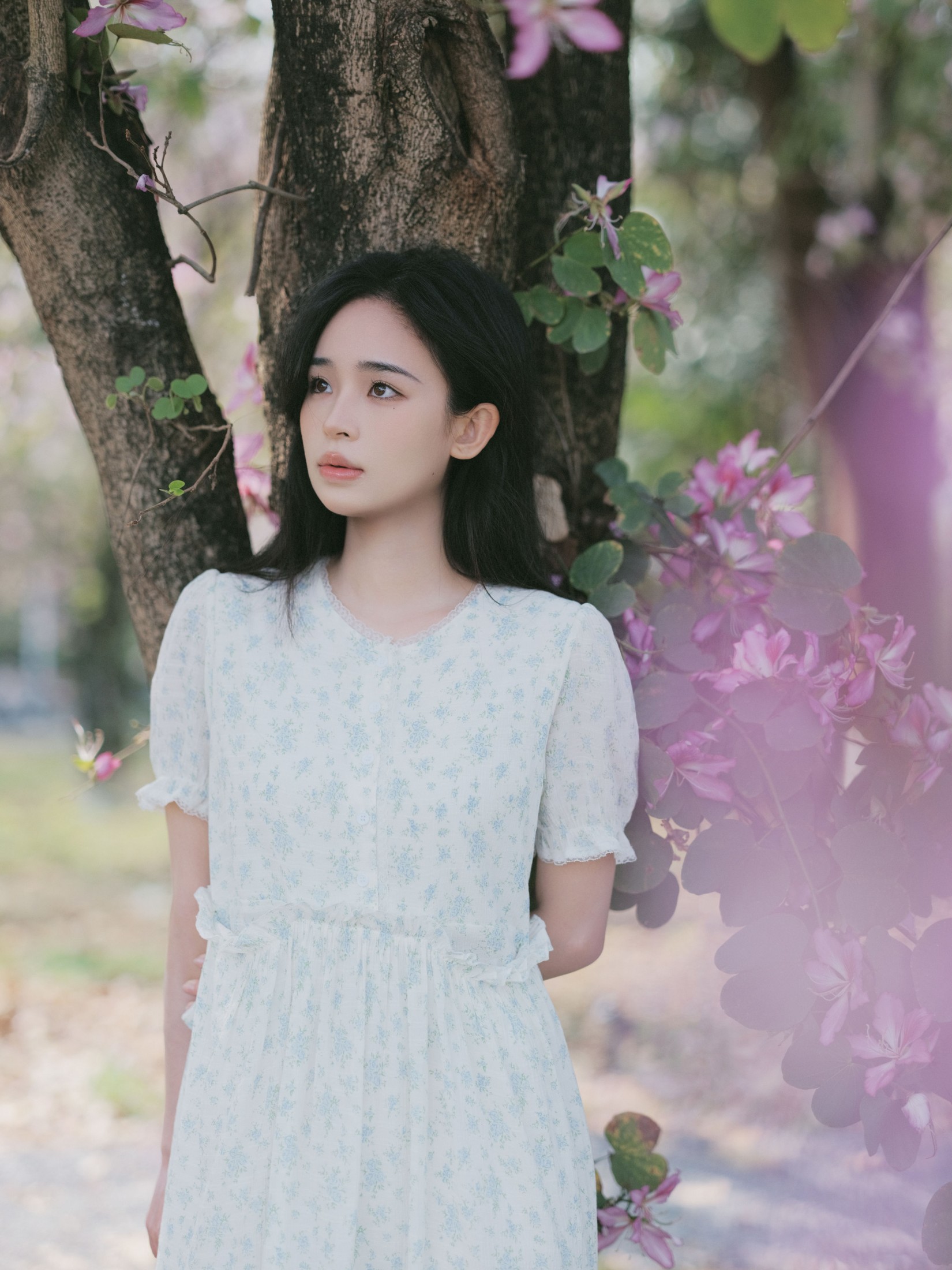 仲夏廿一 – 《时光画卷》[40P]