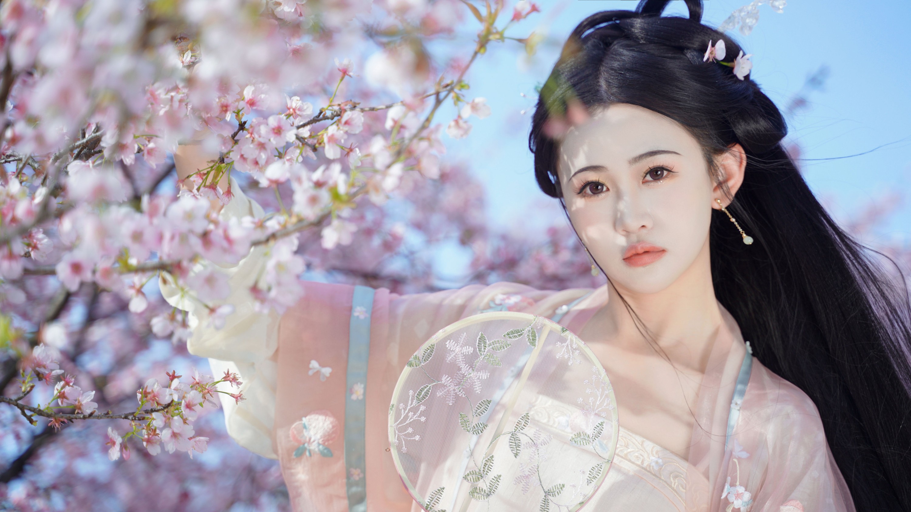 湫一只岁岁 – 《樱之花》[23P]