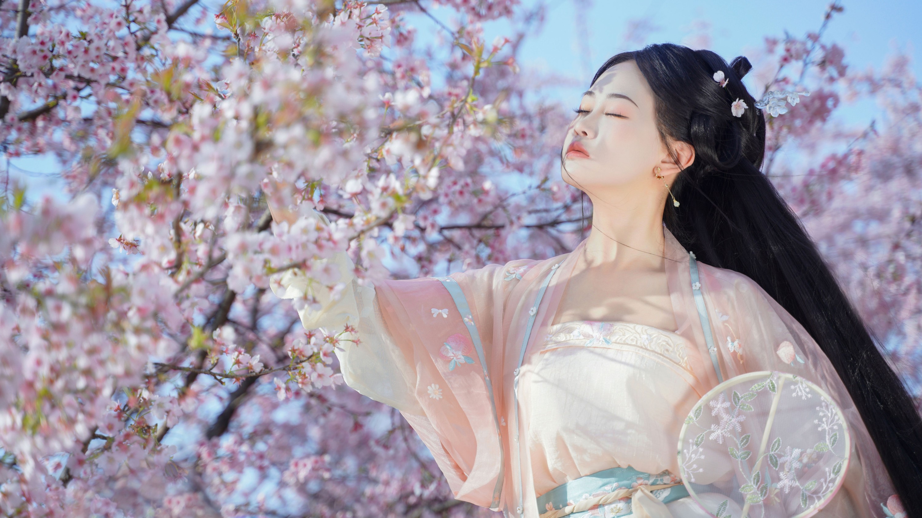 湫一只岁岁 – 《樱之花》[23P]