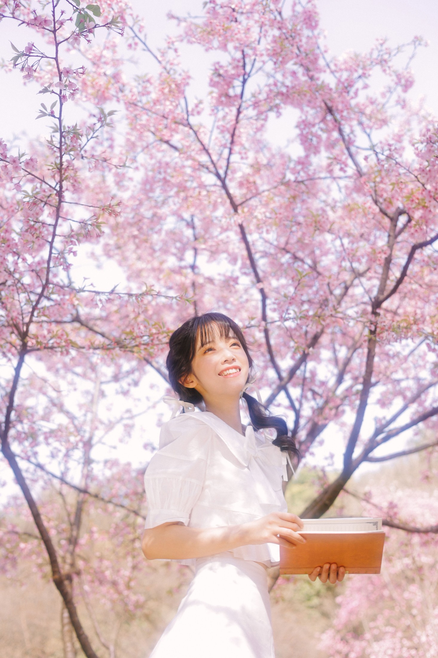 一只阿梦崽 – 《粉樱》[29P]