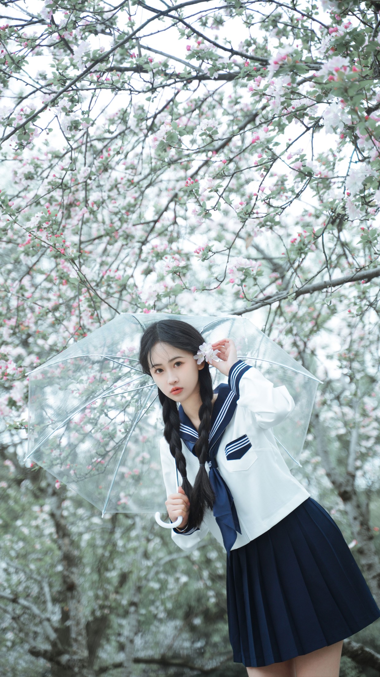 湫一只岁岁 – 《樱花》[27P]