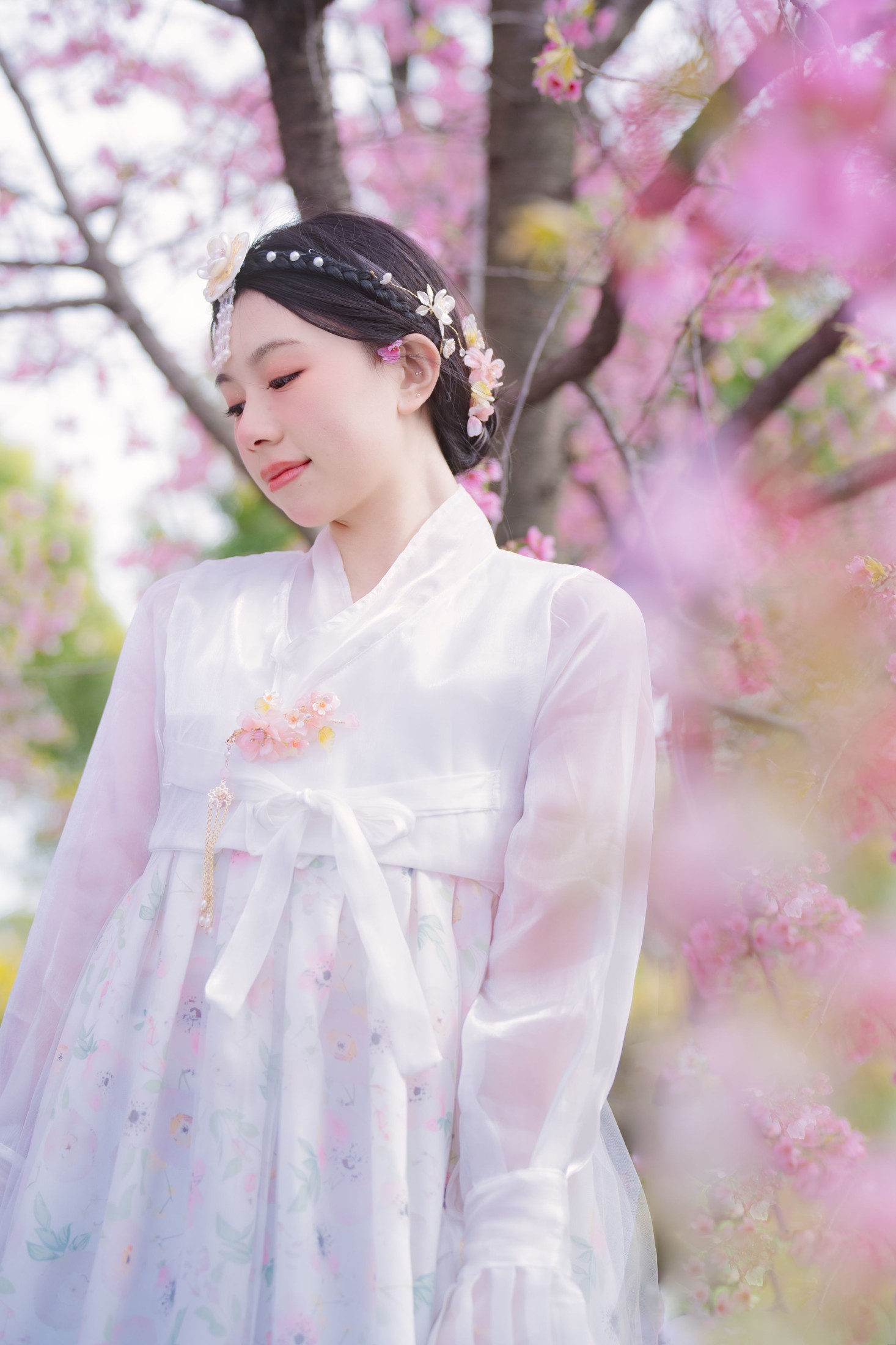 初初 – 《延边公主樱花祭》[22P]