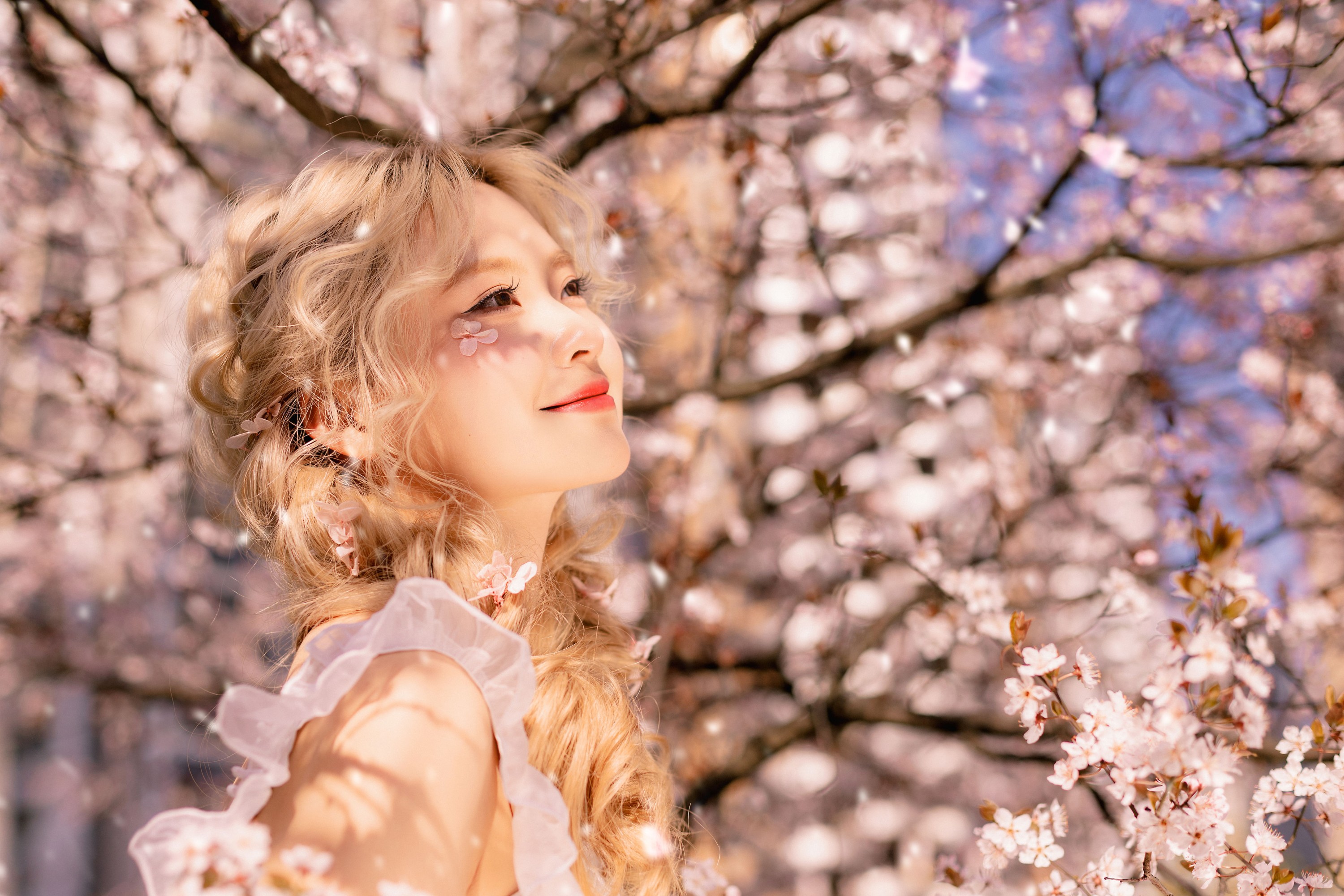 羔丽代 – 《樱花树下的春意》[22P] 插图5