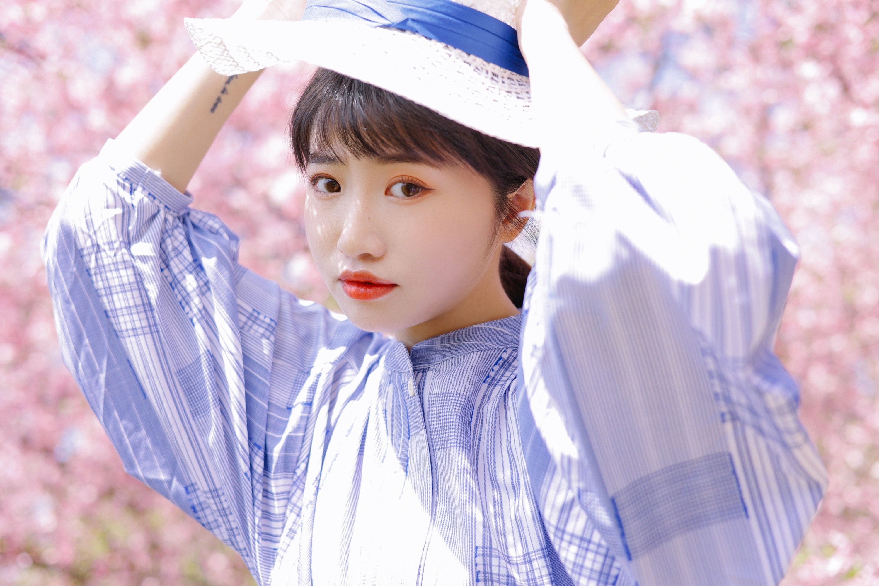 蓝胖子 – 《海棠花开》[36P] 插图5