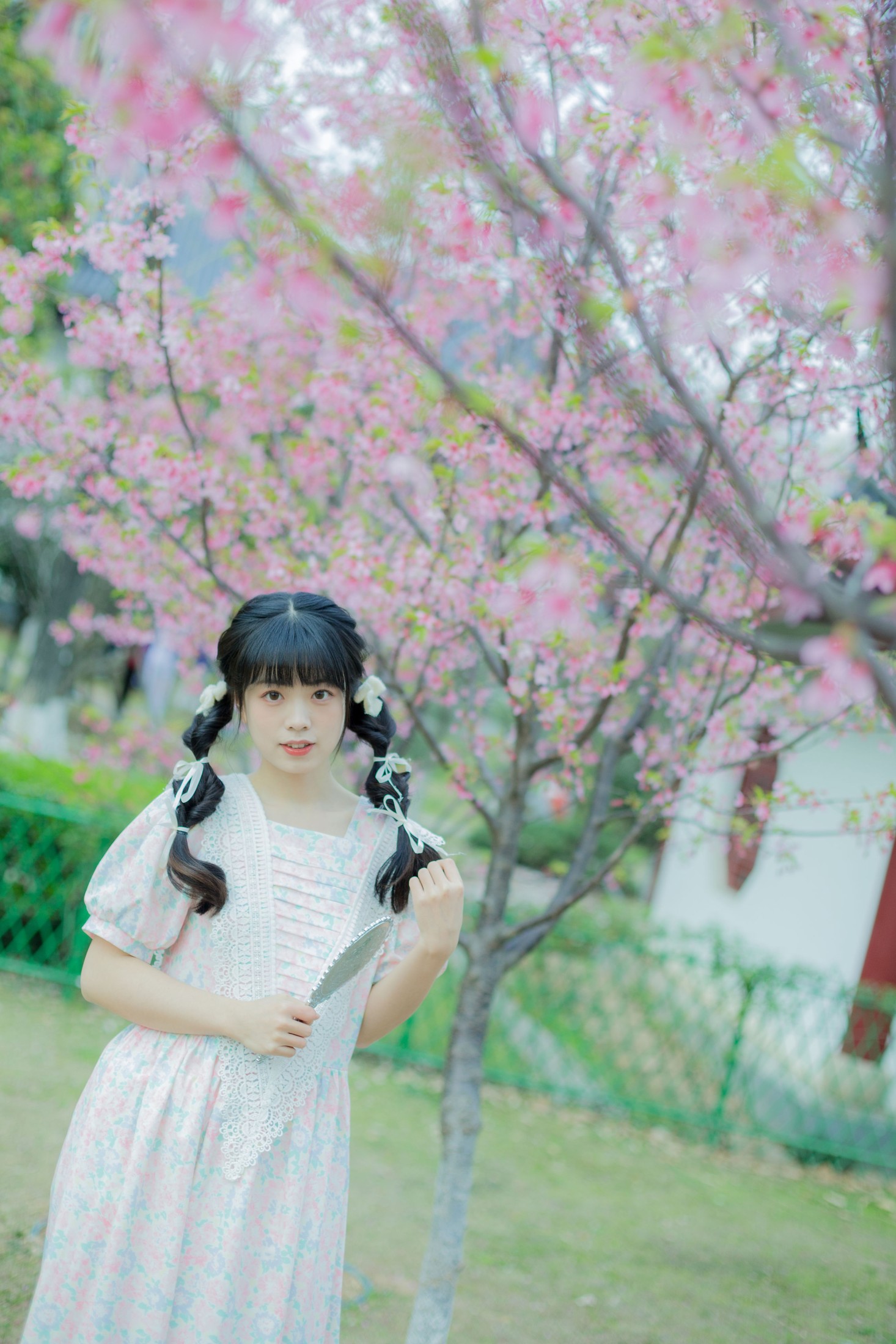 一只暖暖 – 《春日樱花记忆》[31P]