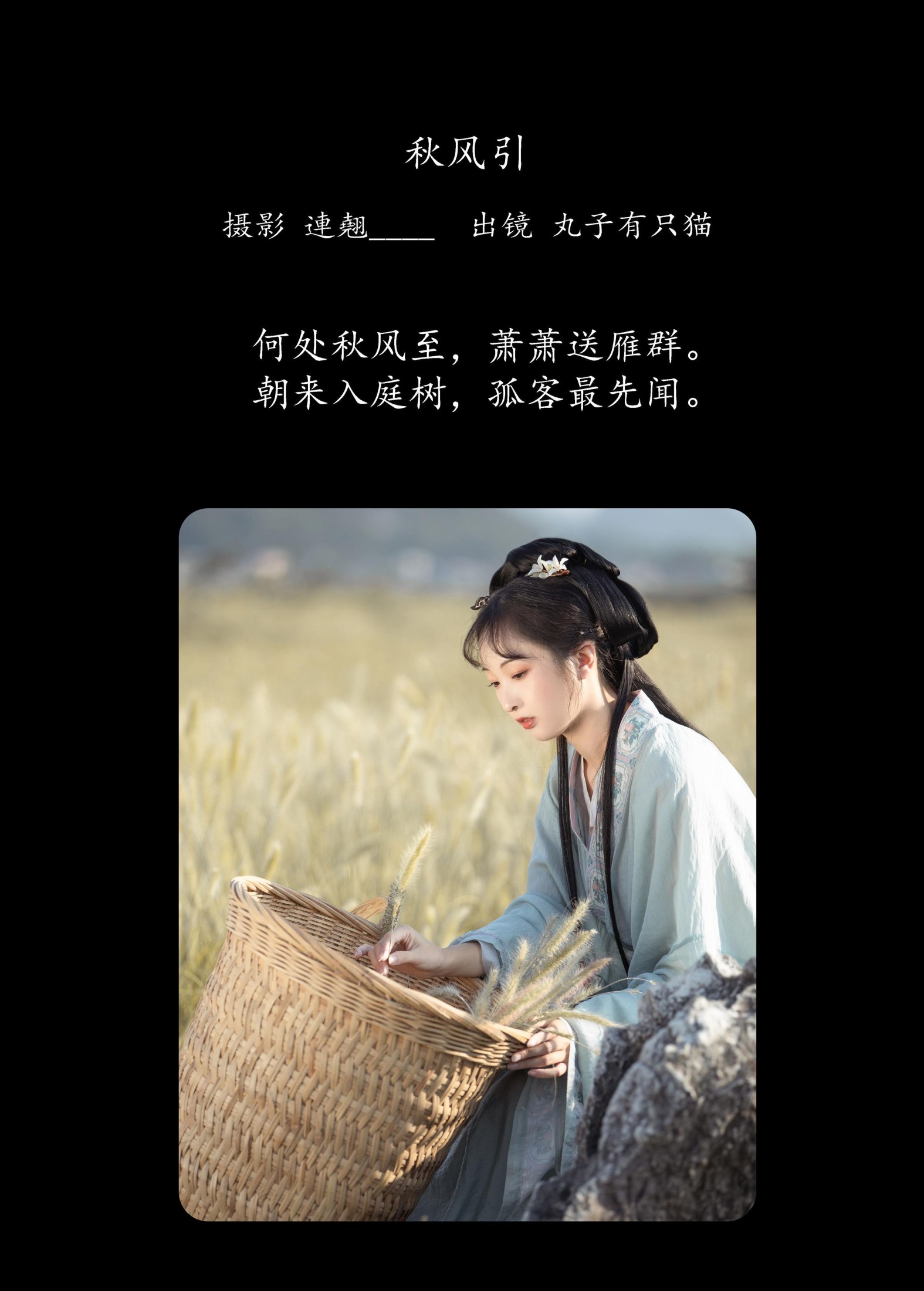 丸子有只猫 – 《秋风引》[26P]