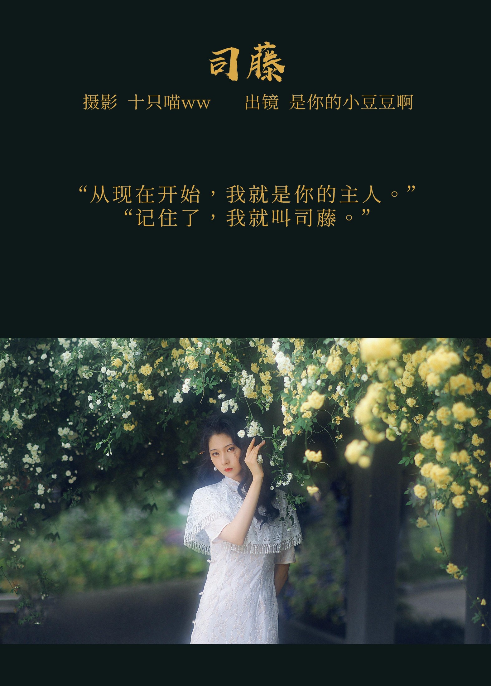 是你的小豆豆啊 – 《司藤》[21P] 插图2